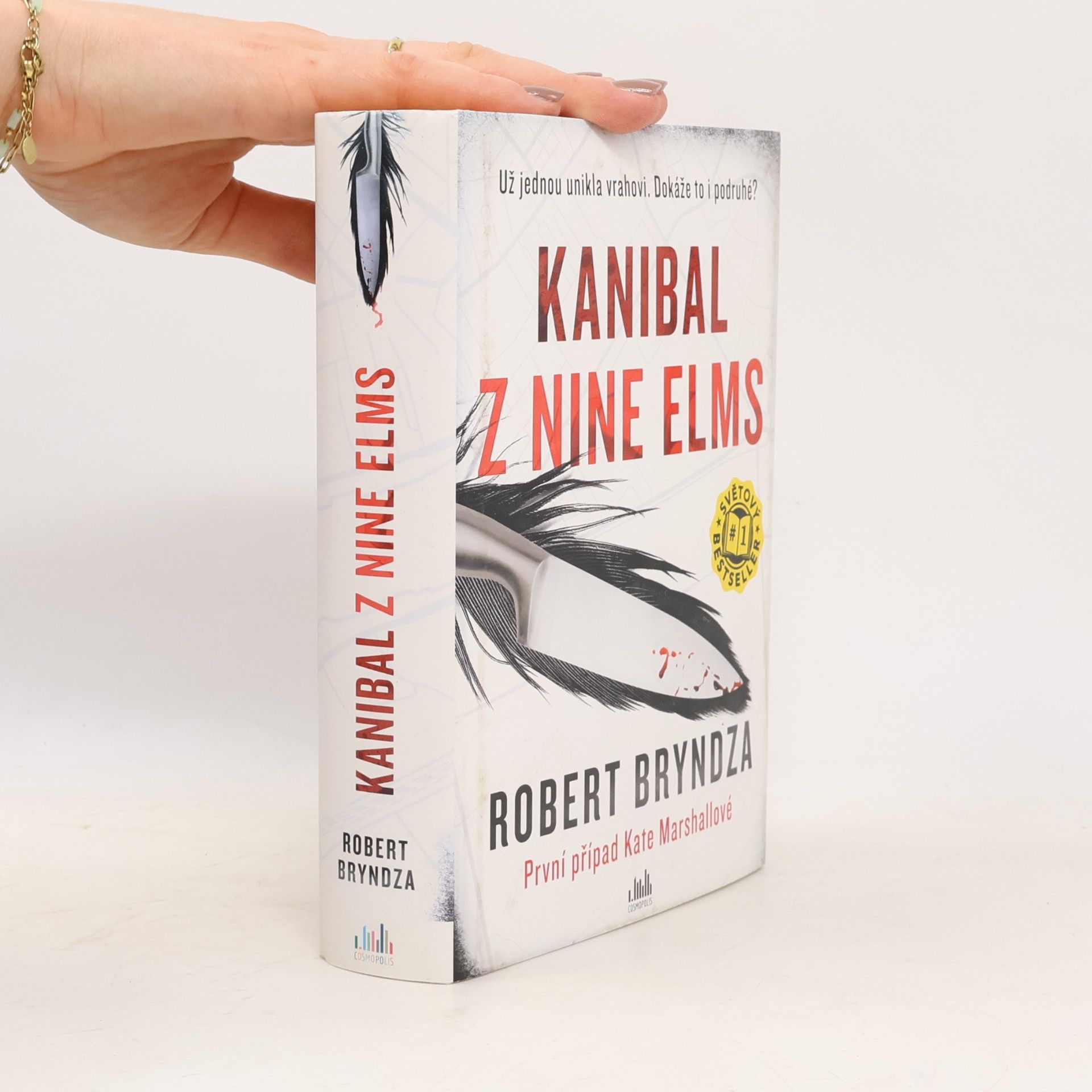 Robert Bryndza Kanibal z Nine Elms