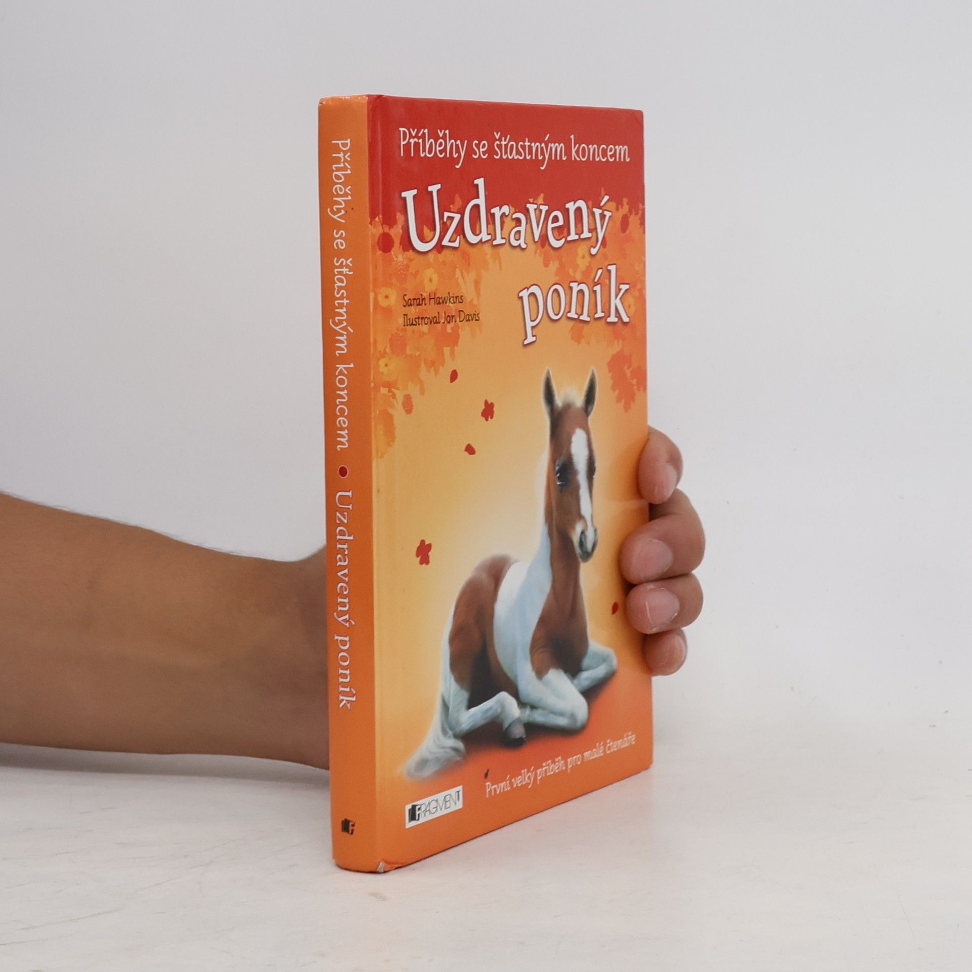 Sarah Hawkins Uzdravený poník