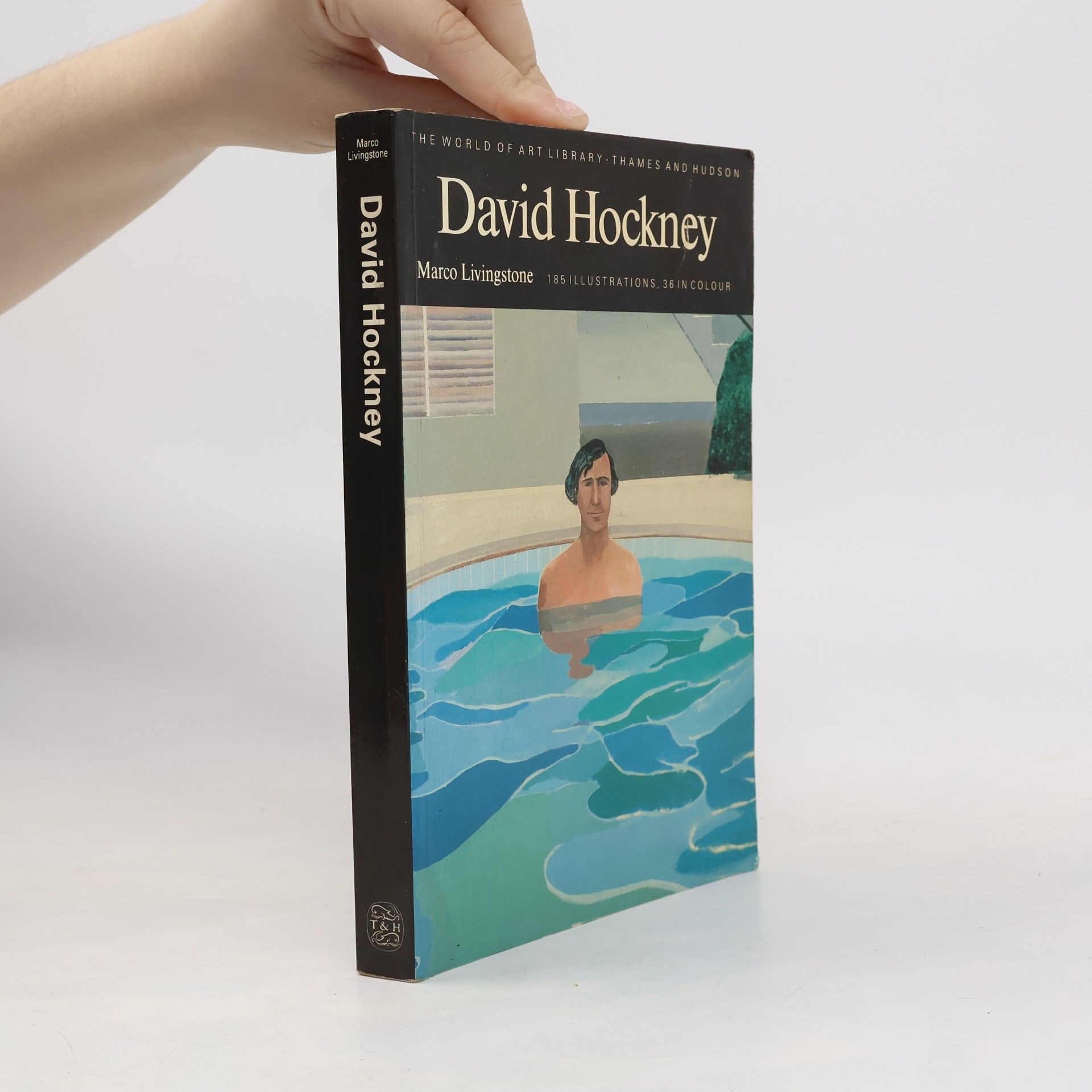 Marco Livingstone David Hockney