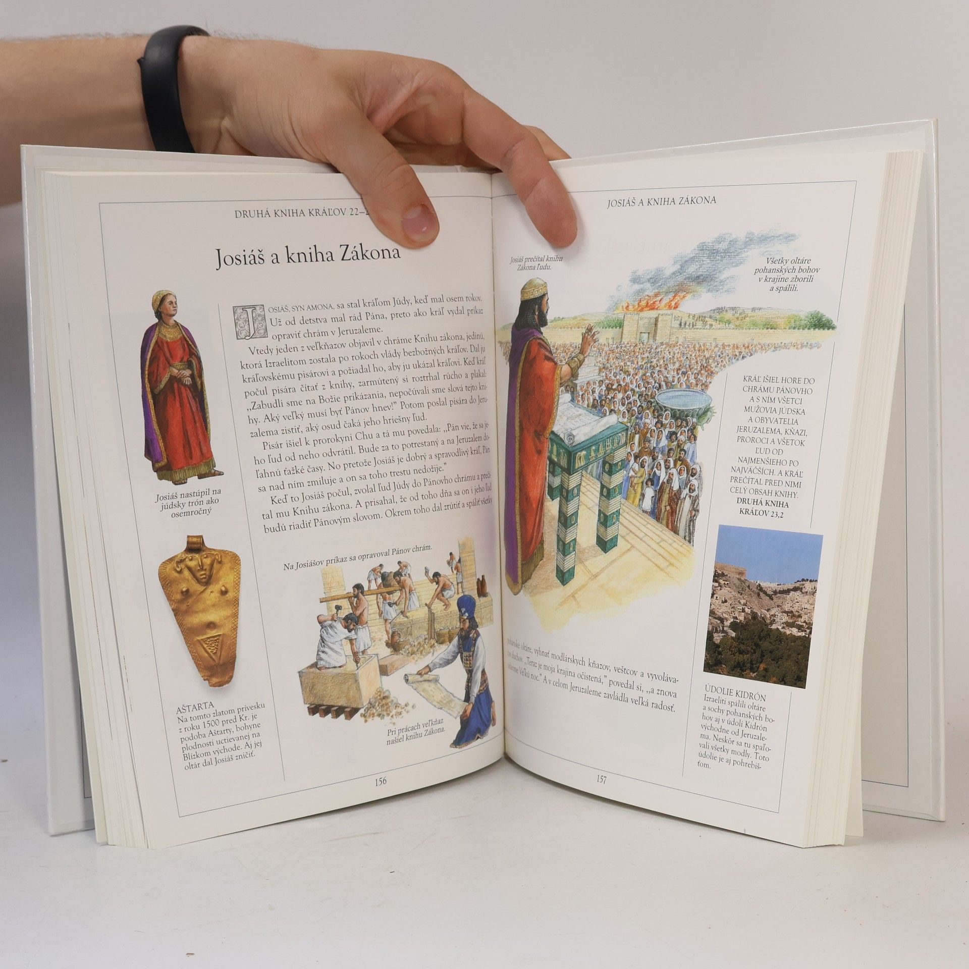 Kolektiv autorů Ilustrovaná Biblia