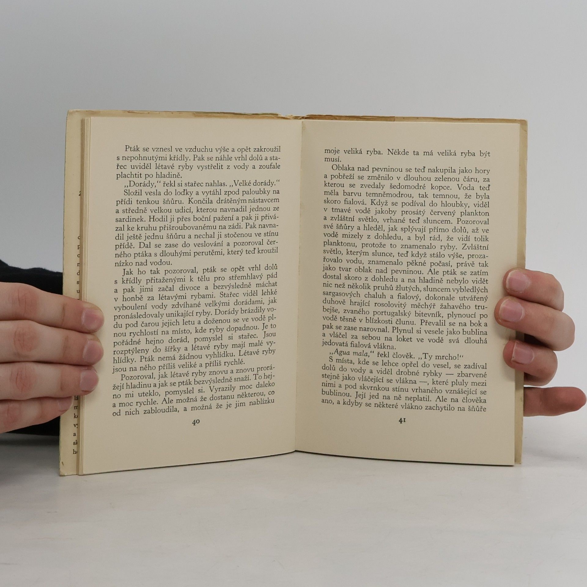 Ernest Hemingway Stařec a moře