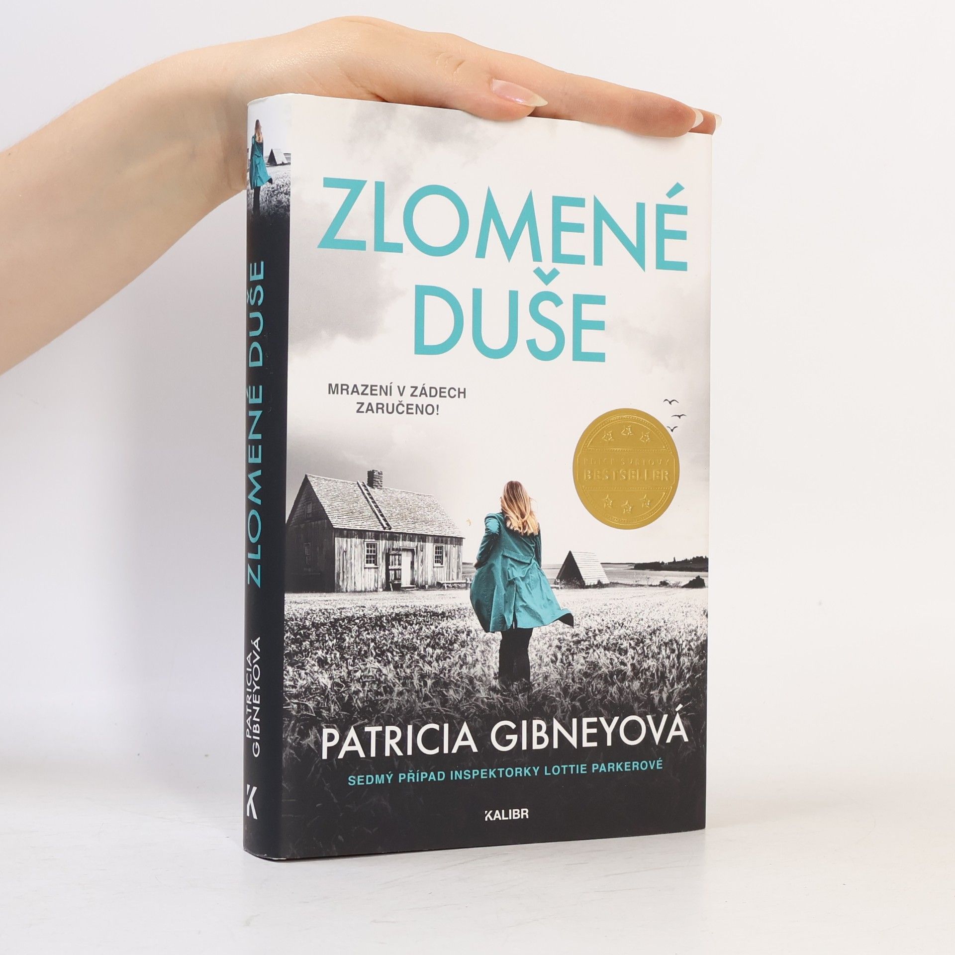 Patricia Gibney Zlomené Duše