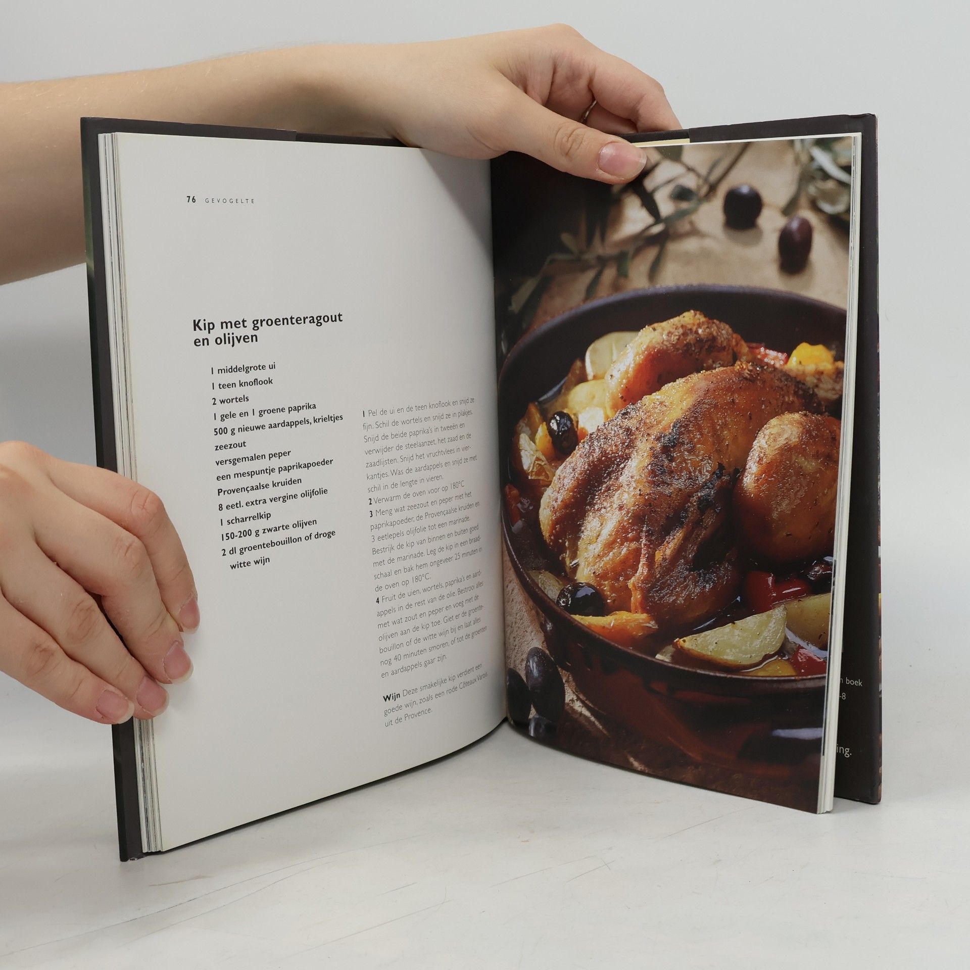 Erica Bänziger Gouden Olijfolie Boek