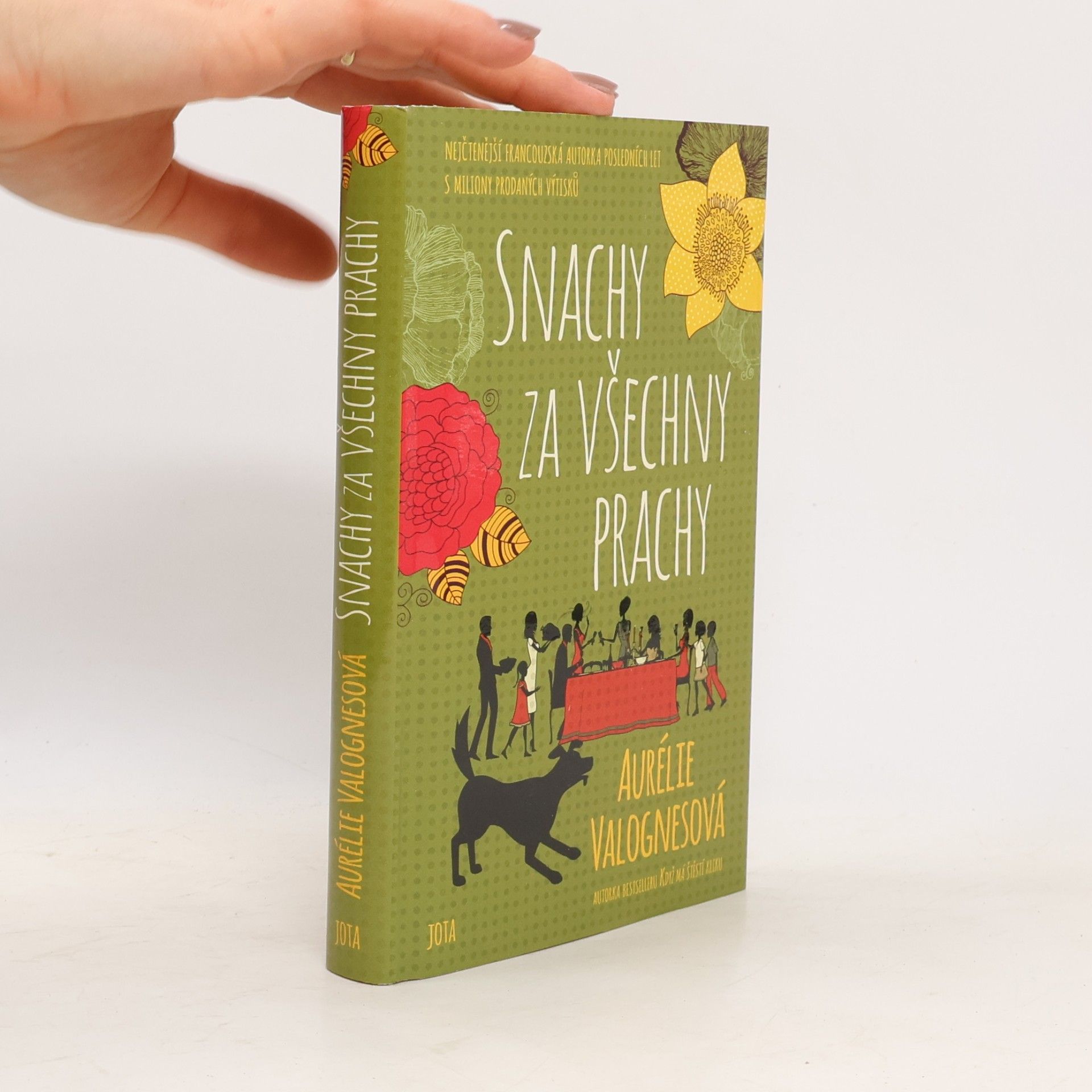 Aurélie Valognes Snachy za všechny prachy