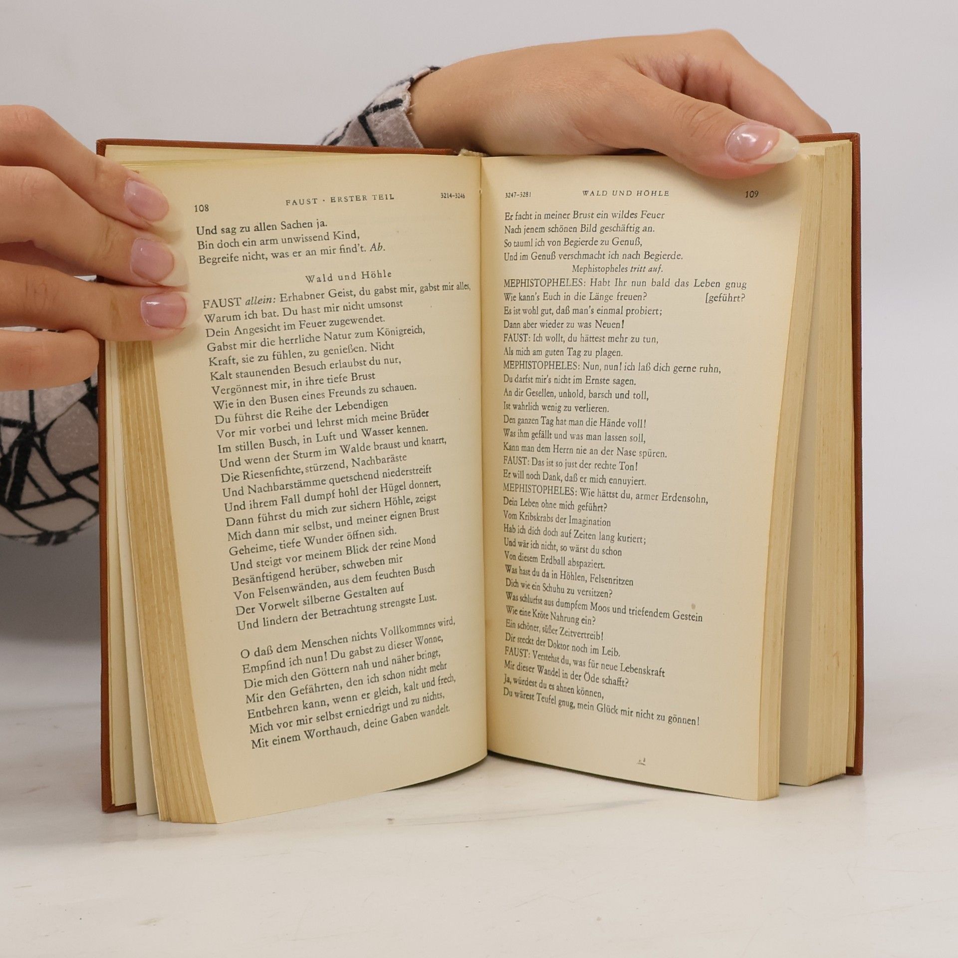Johann Wolfgang von Goethe Goethes Werke 10
