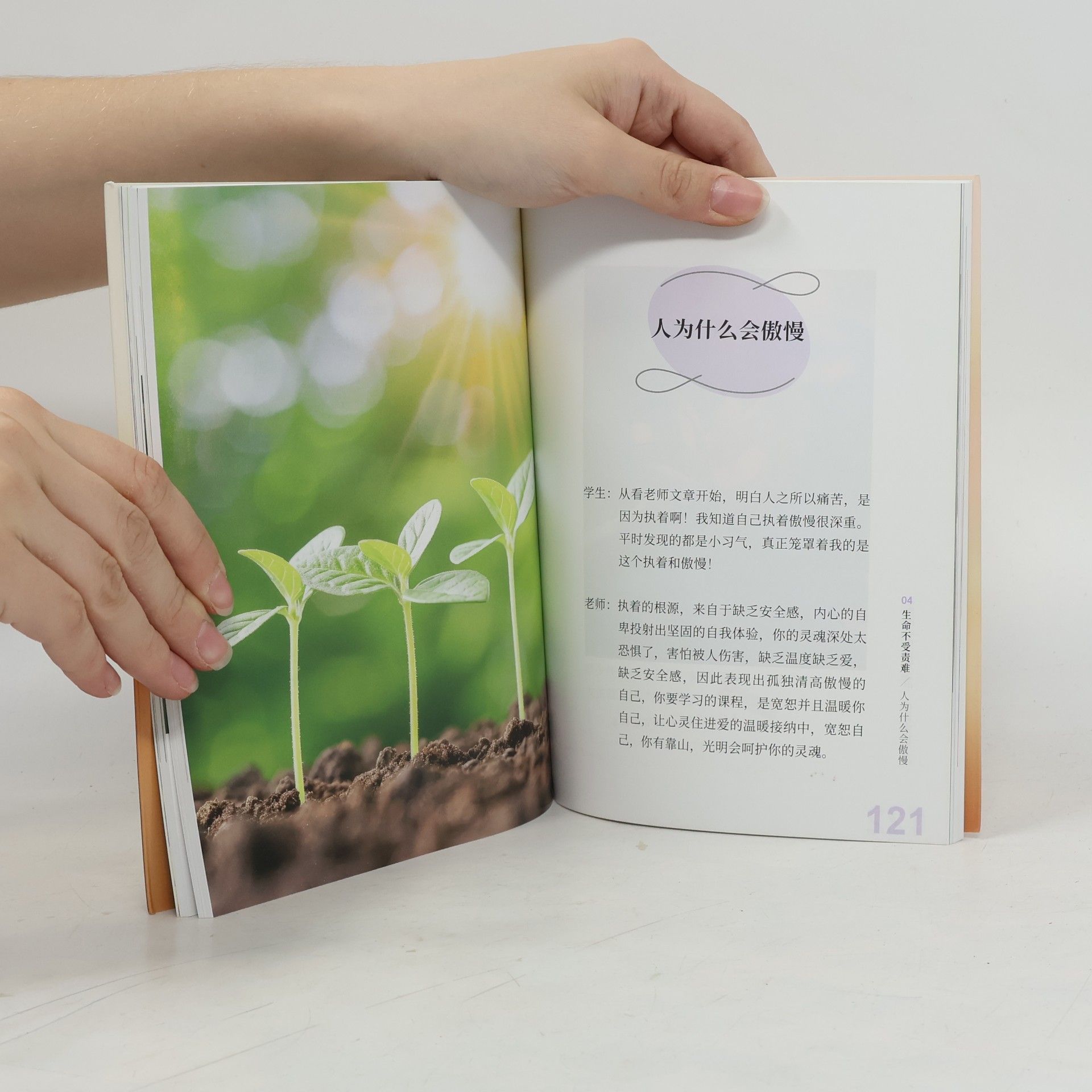 东方圣光 让你的心住在爱之中住在宽恕之中