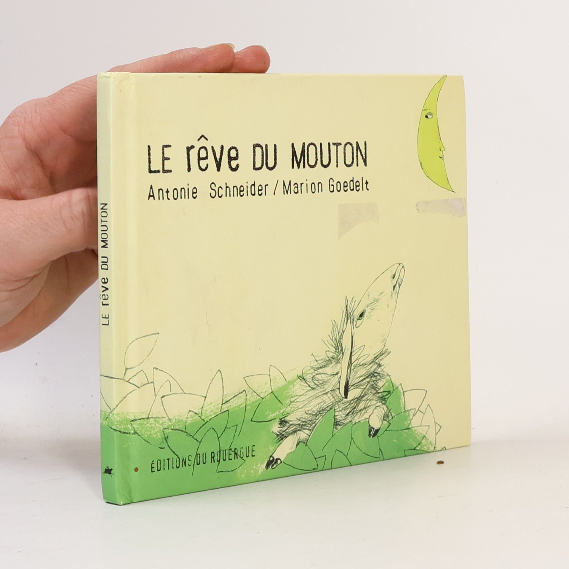 Le rêve du mouton