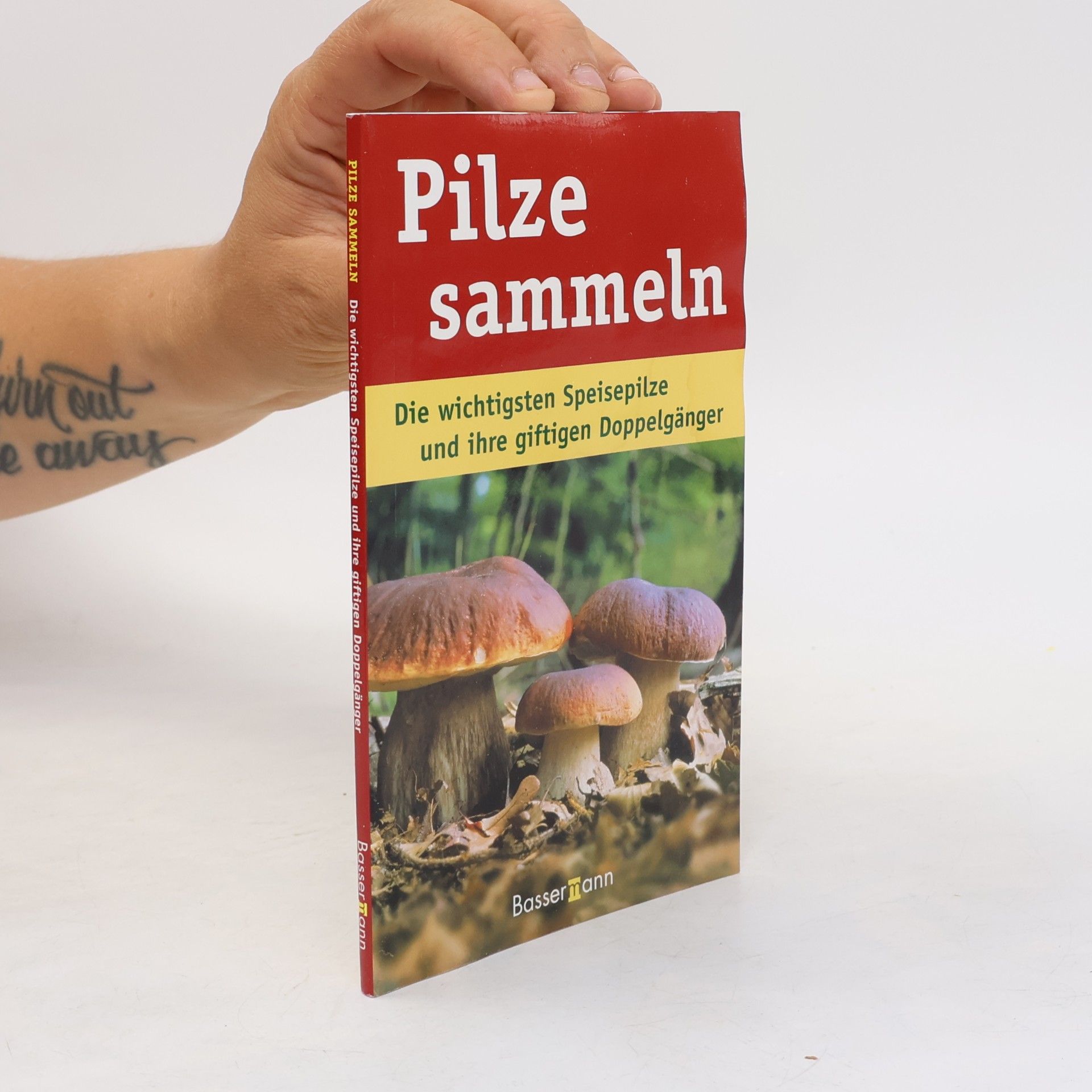 Christoph Hahn Pilze sammeln