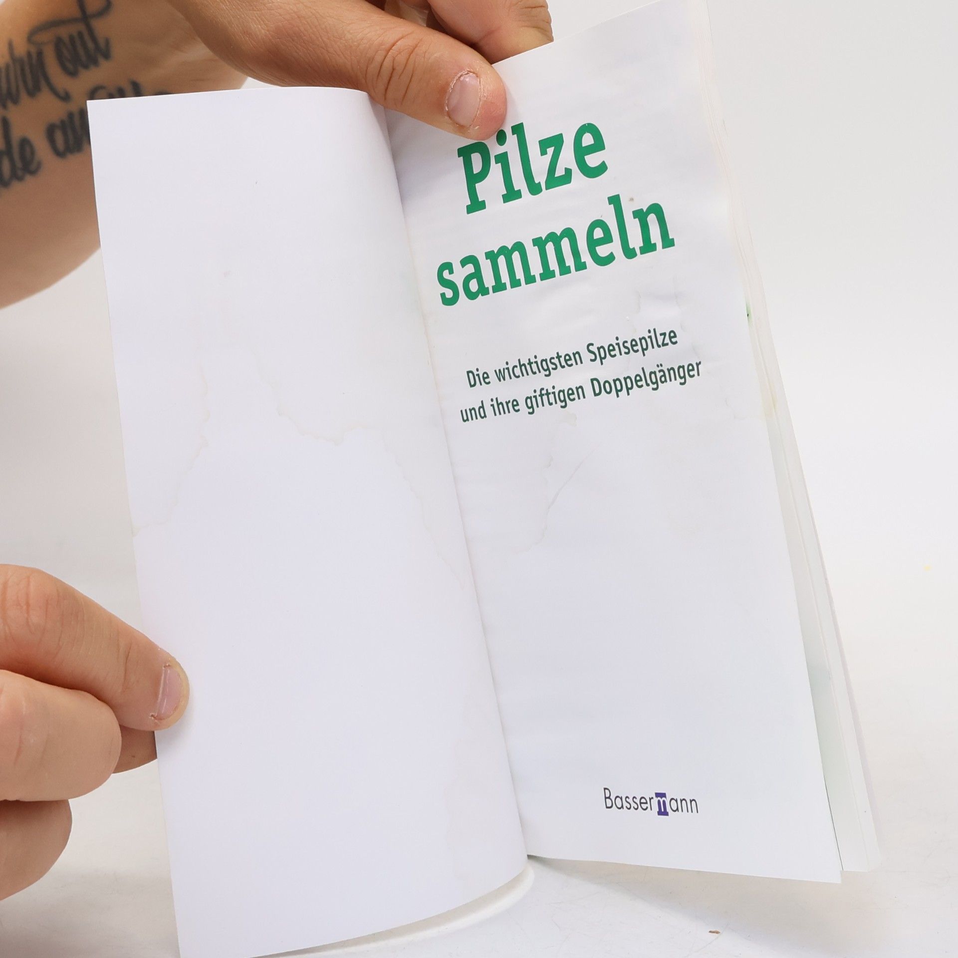 Christoph Hahn Pilze sammeln