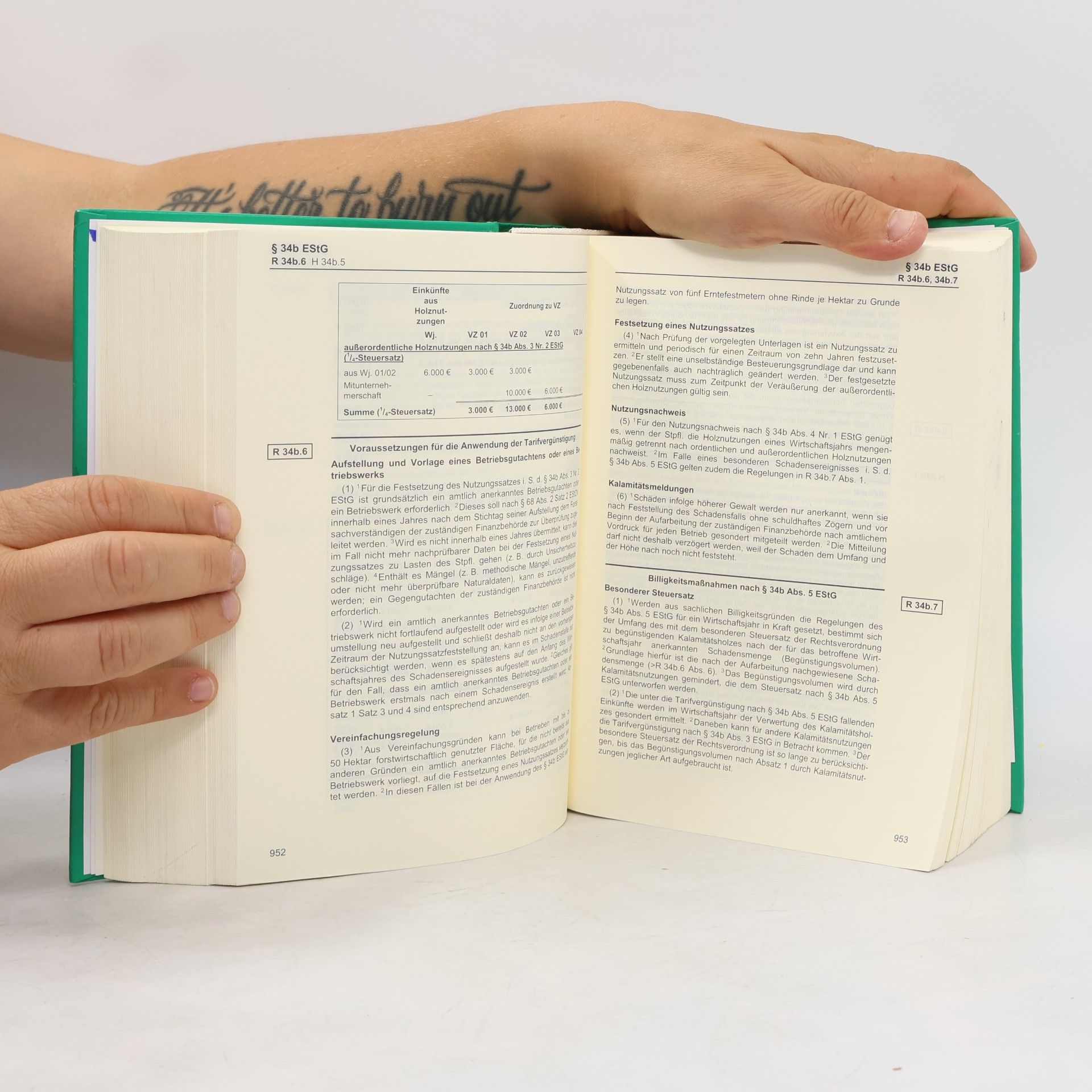 Amtliches Einkommensteuer-Handbuch 2017