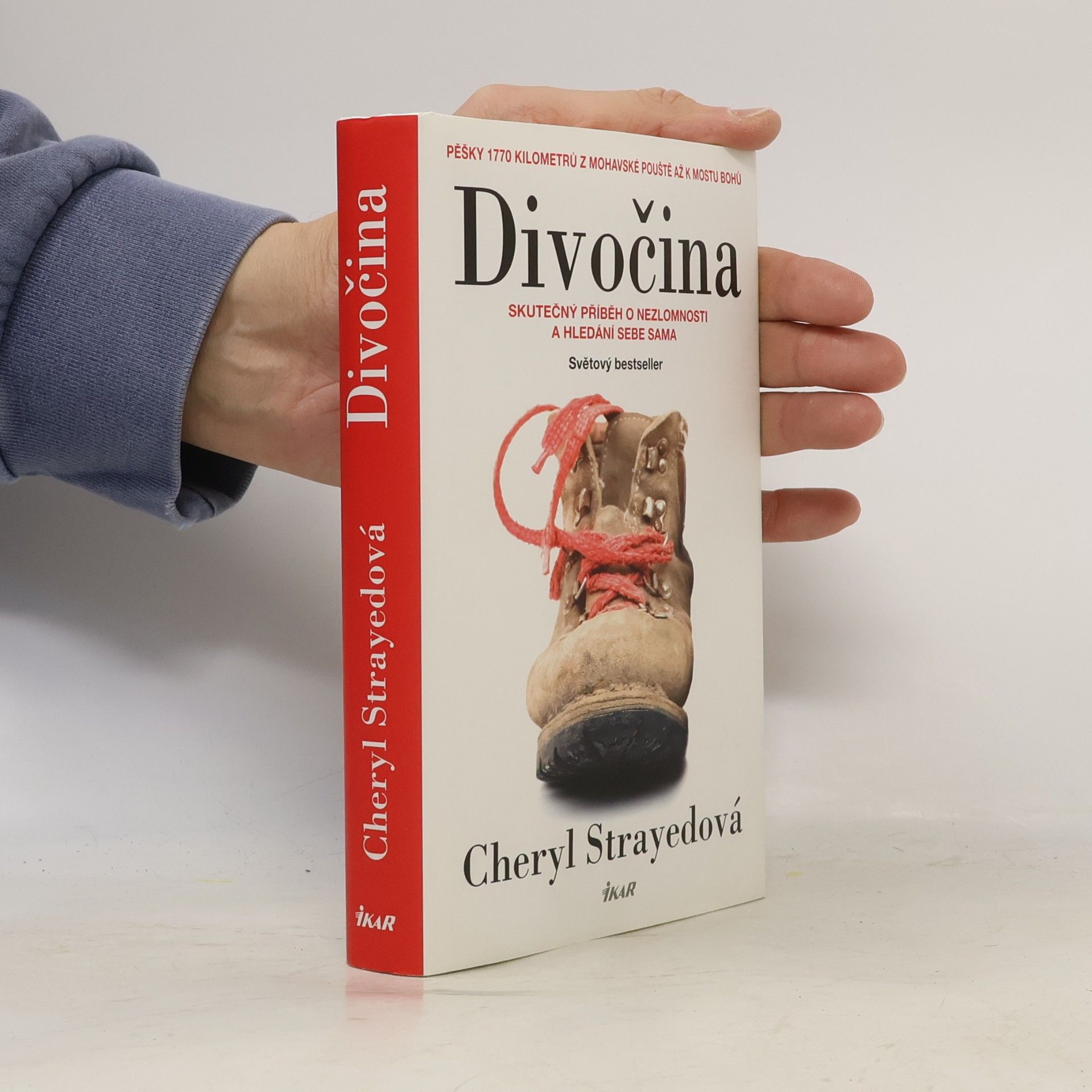 Cheryl Strayed Divočina