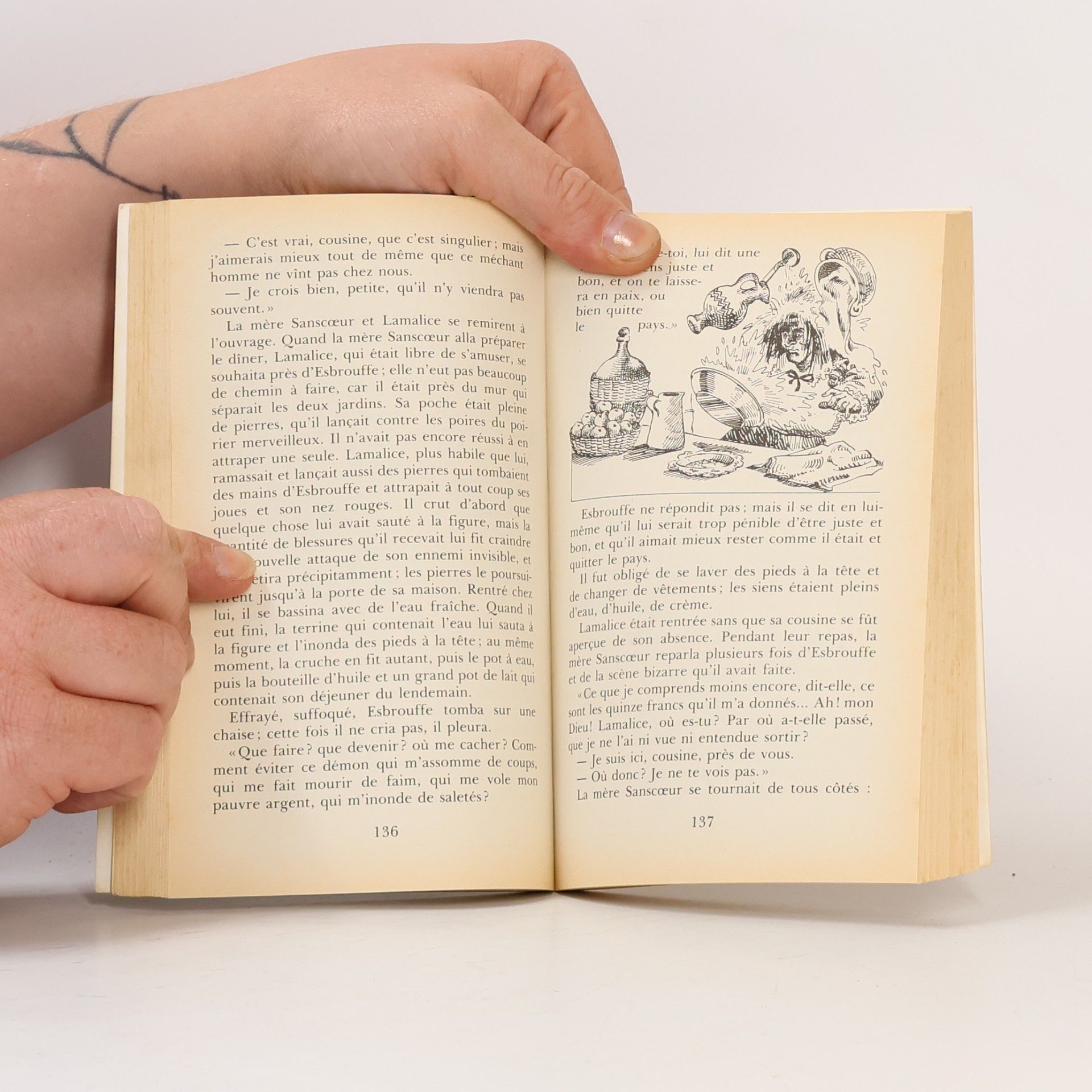 Sophie de Ségur Bibliothèque Rose - 809: Les bons enfants