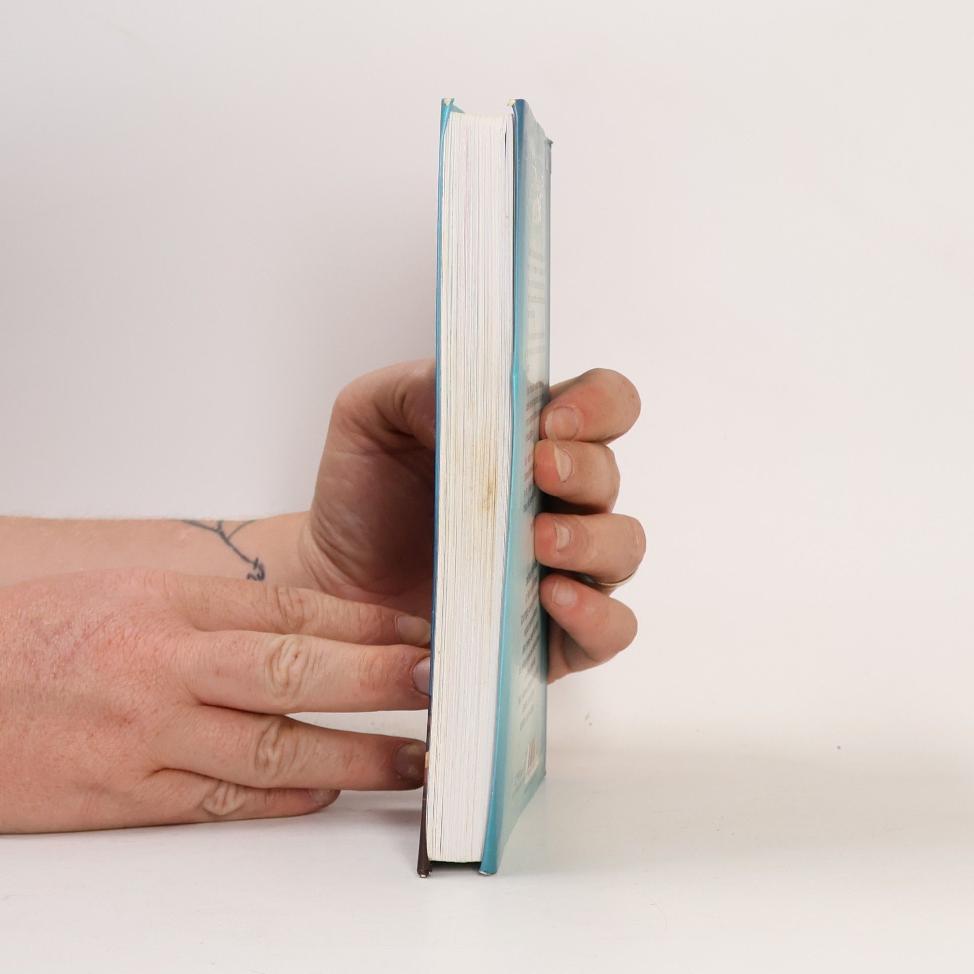 McFly Le dictionnaire moderne