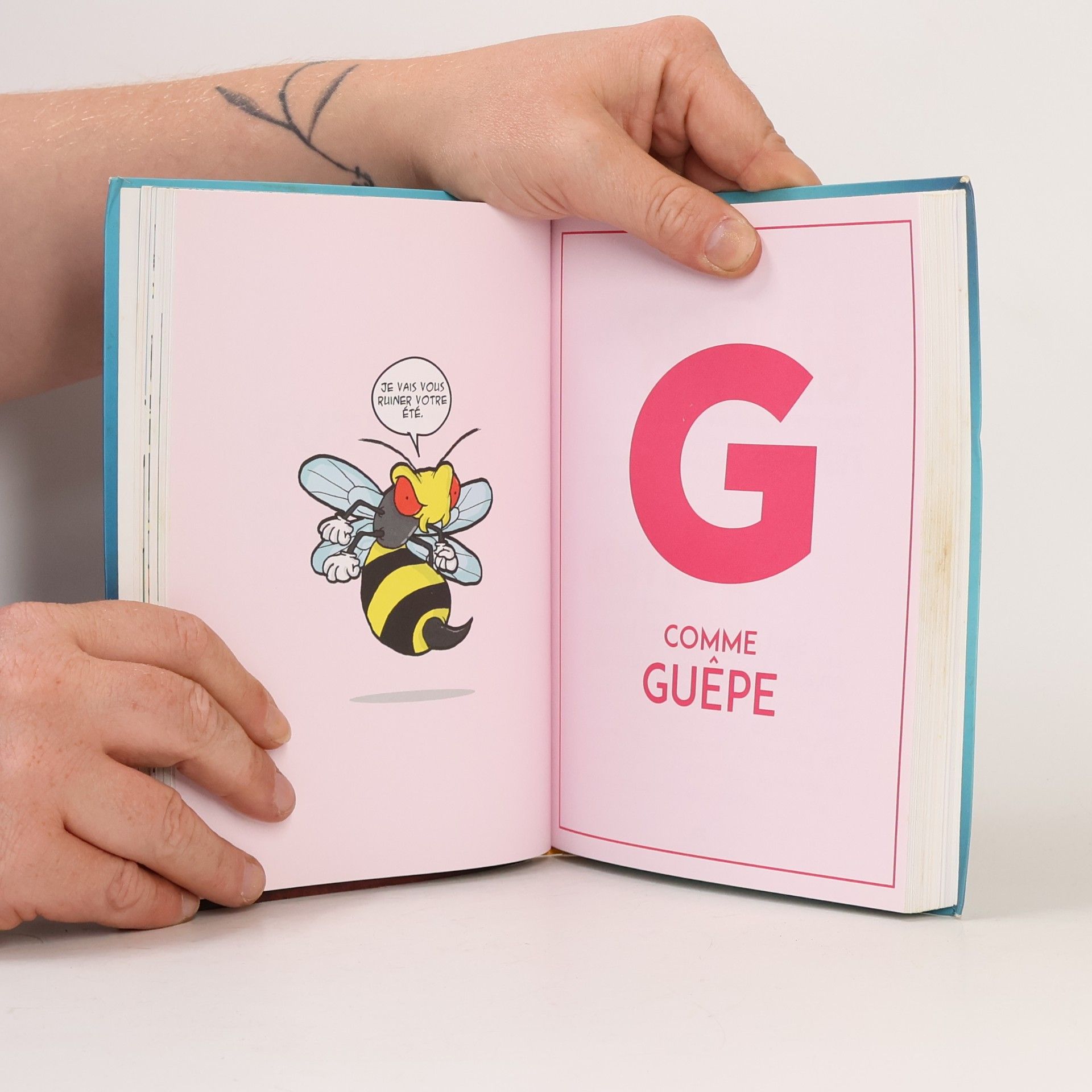 McFly Le dictionnaire moderne