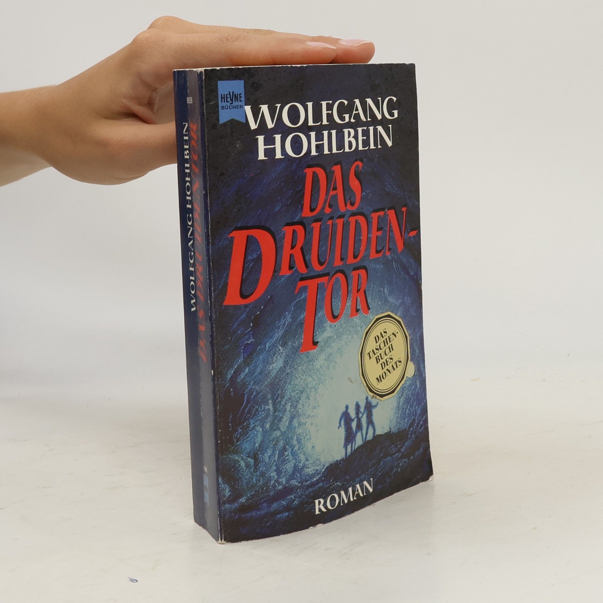 Wolfgang Hohlbein Das Druidentor