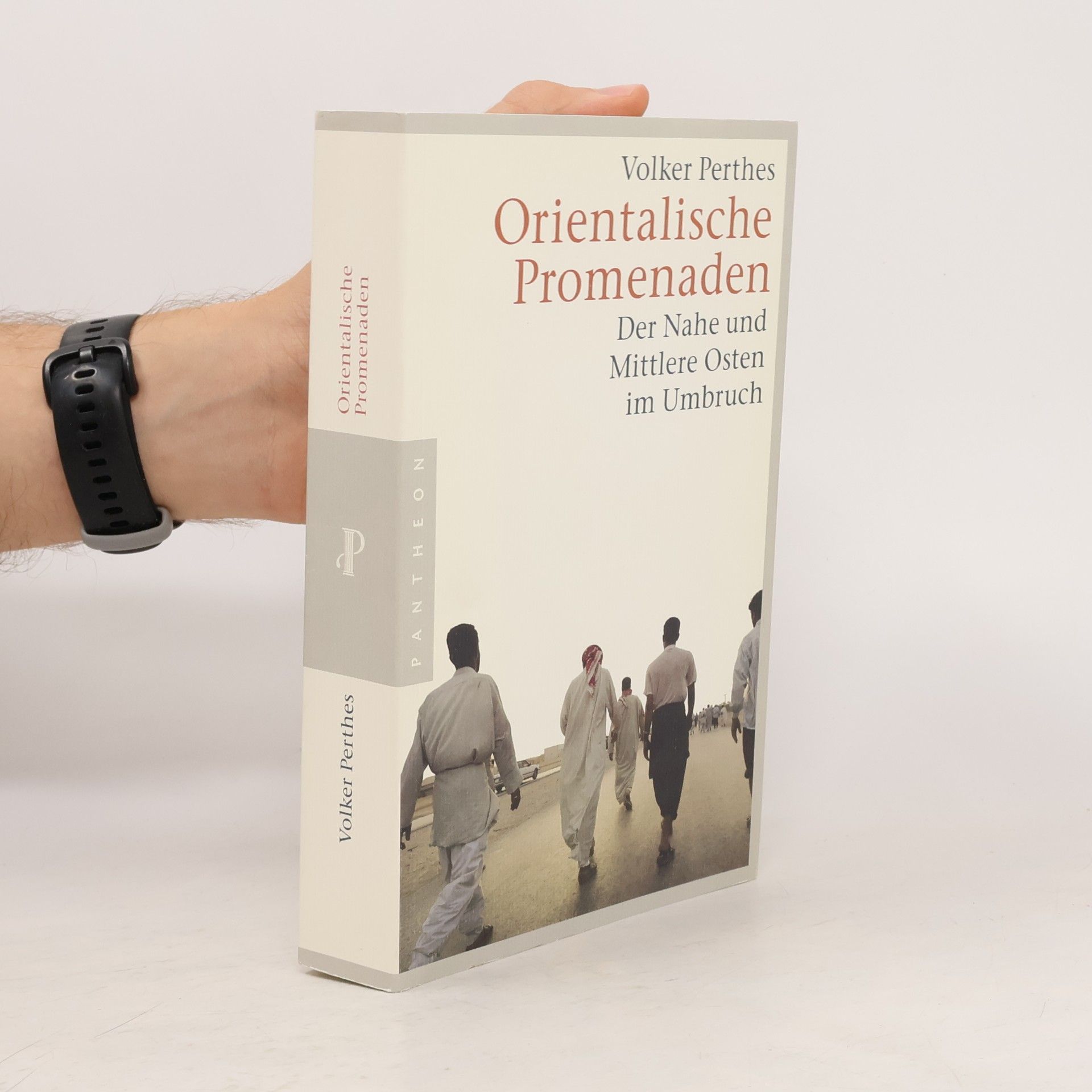 Volker Perthes Orientalische Promenaden