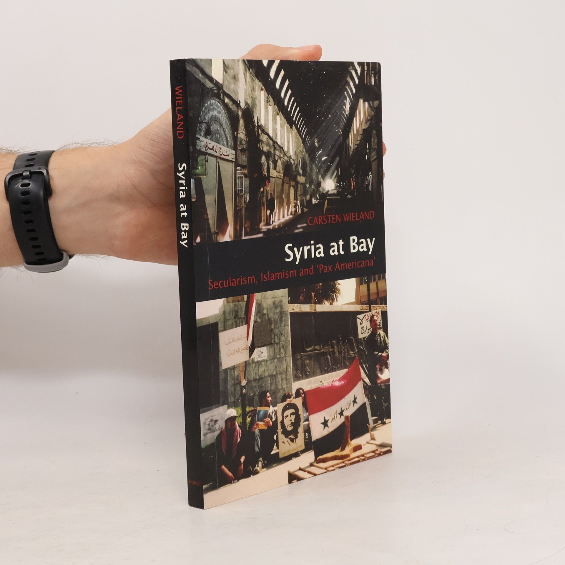 Carsten Wieland Syria at Bay