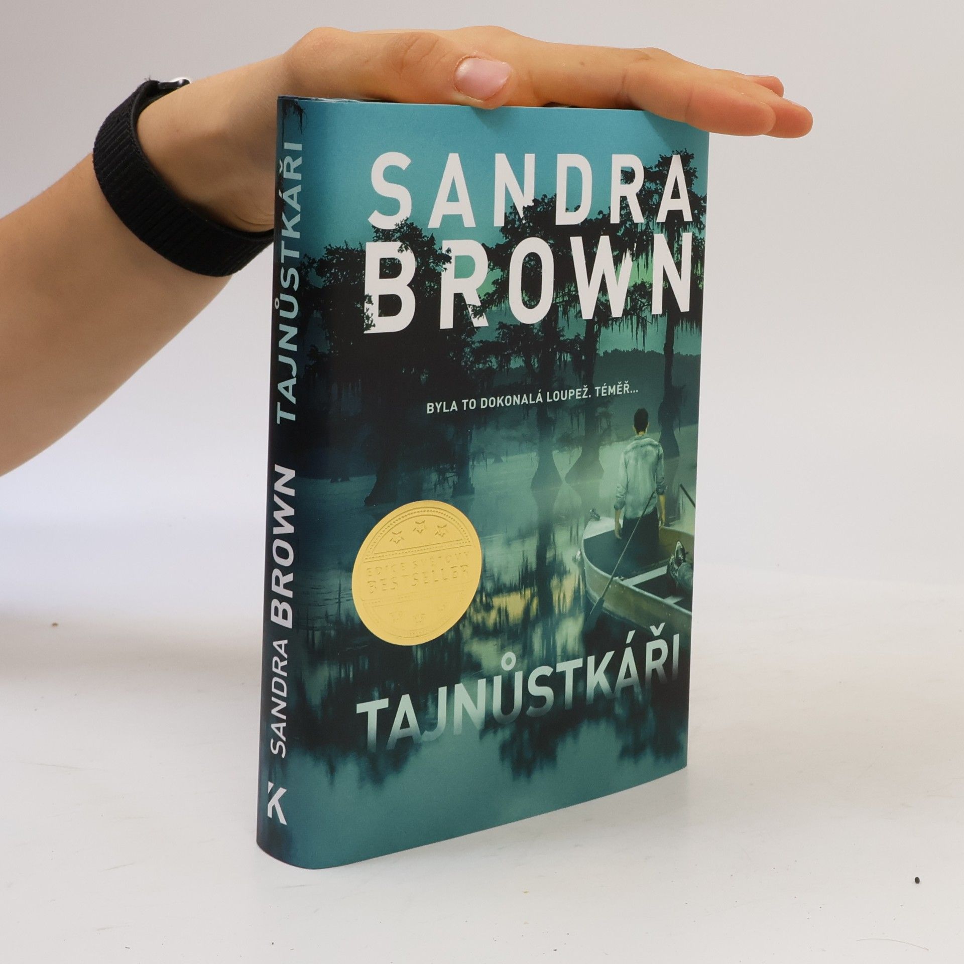 Sandra Brown Tajnůstkáři