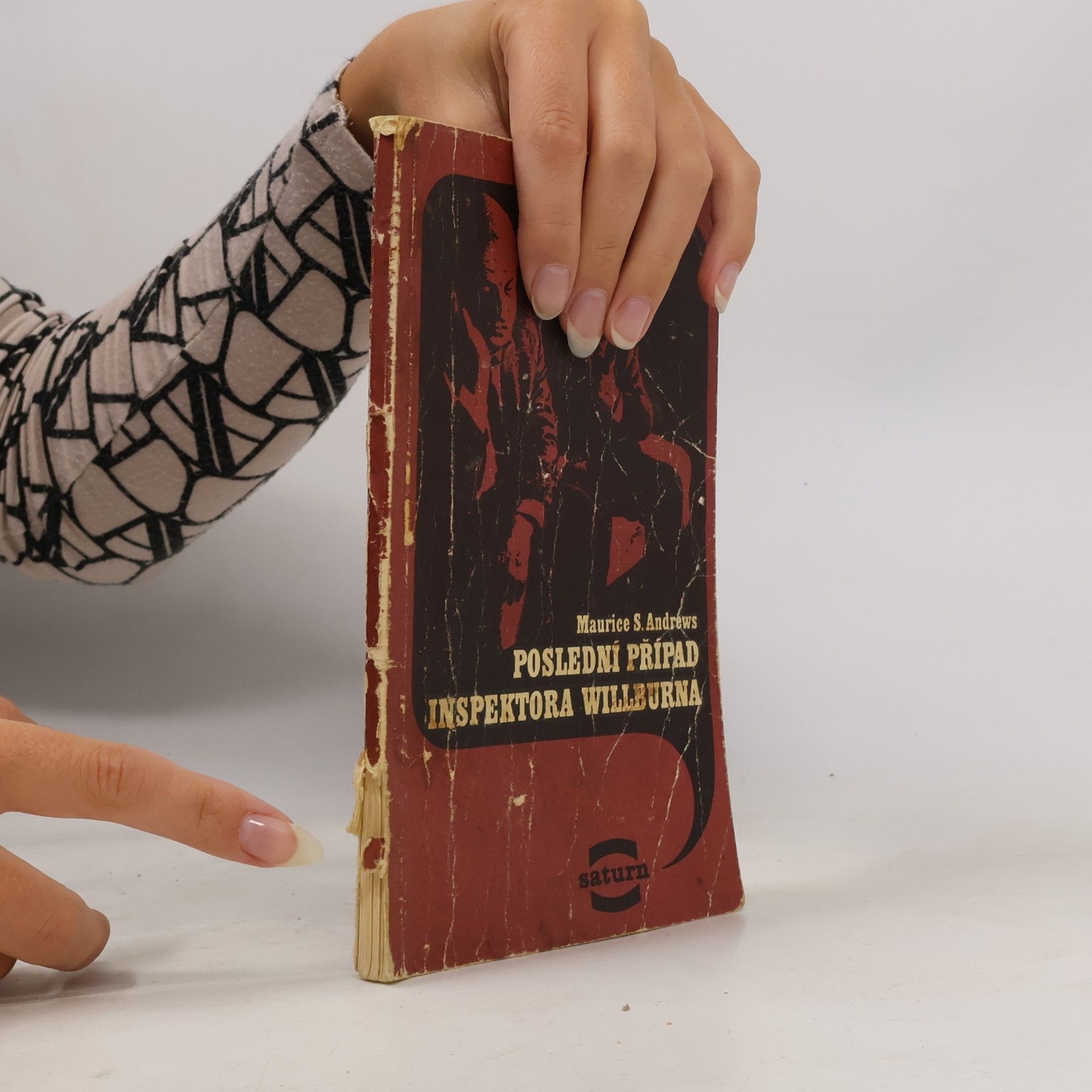 Helena Štáchová Poslední případ inspektora Willburna