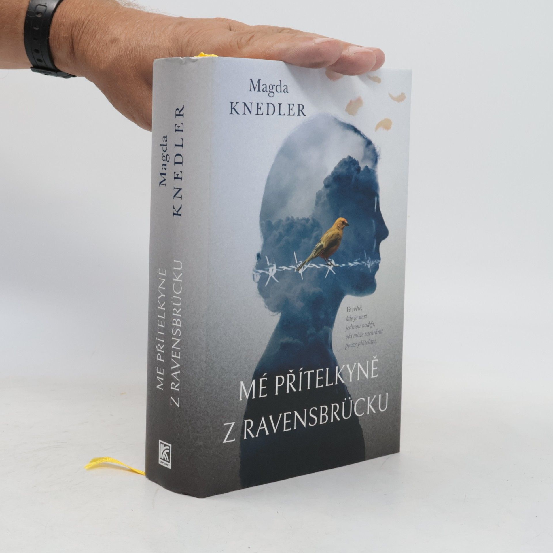 Magdalena Knedler Mé přítelkyně z Ravensbrücku