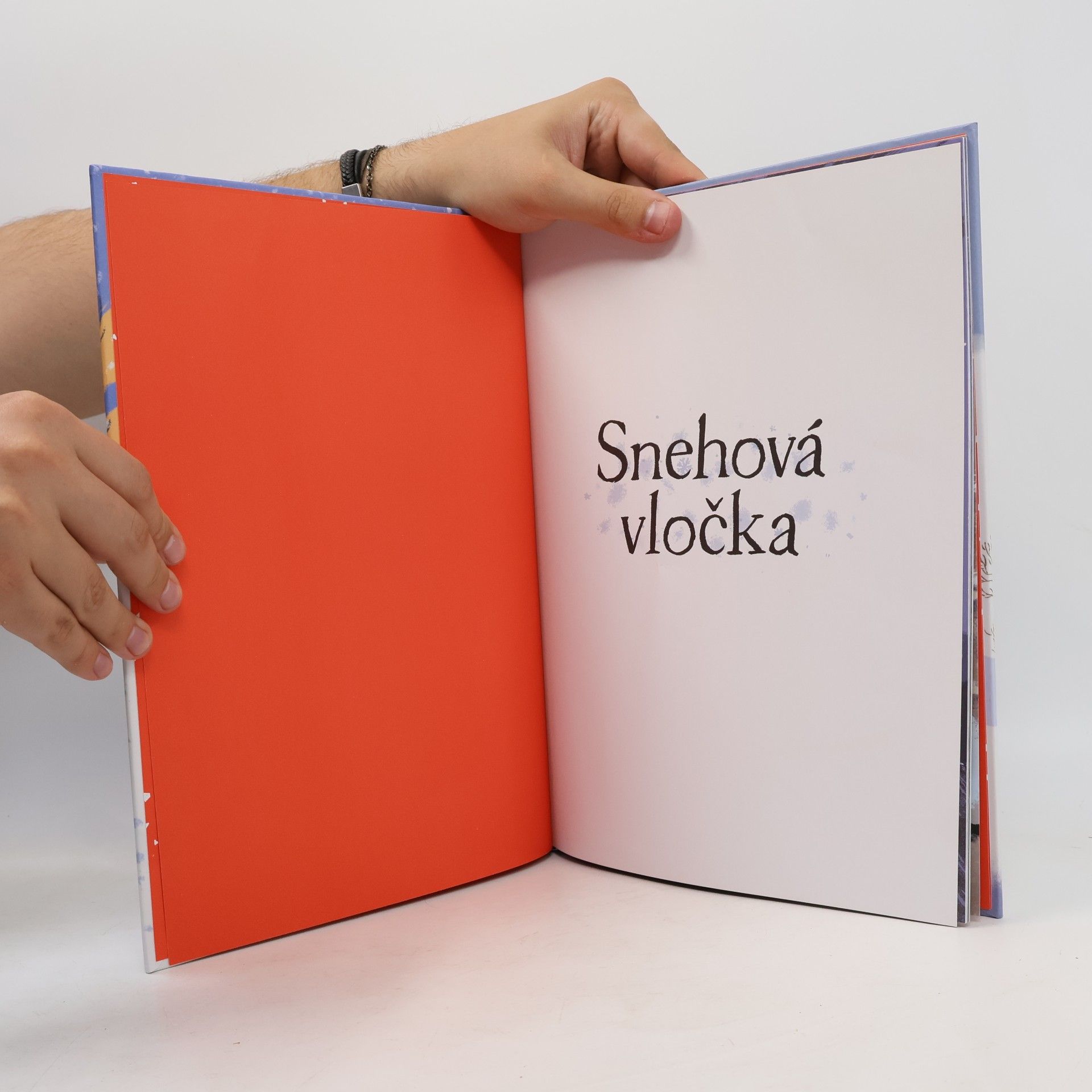Benji Davies Snehová vločka