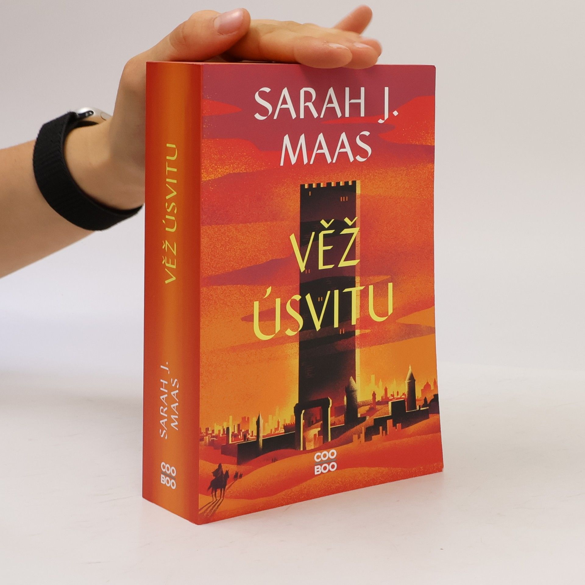 Sarah J. Maas Věž úsvitu