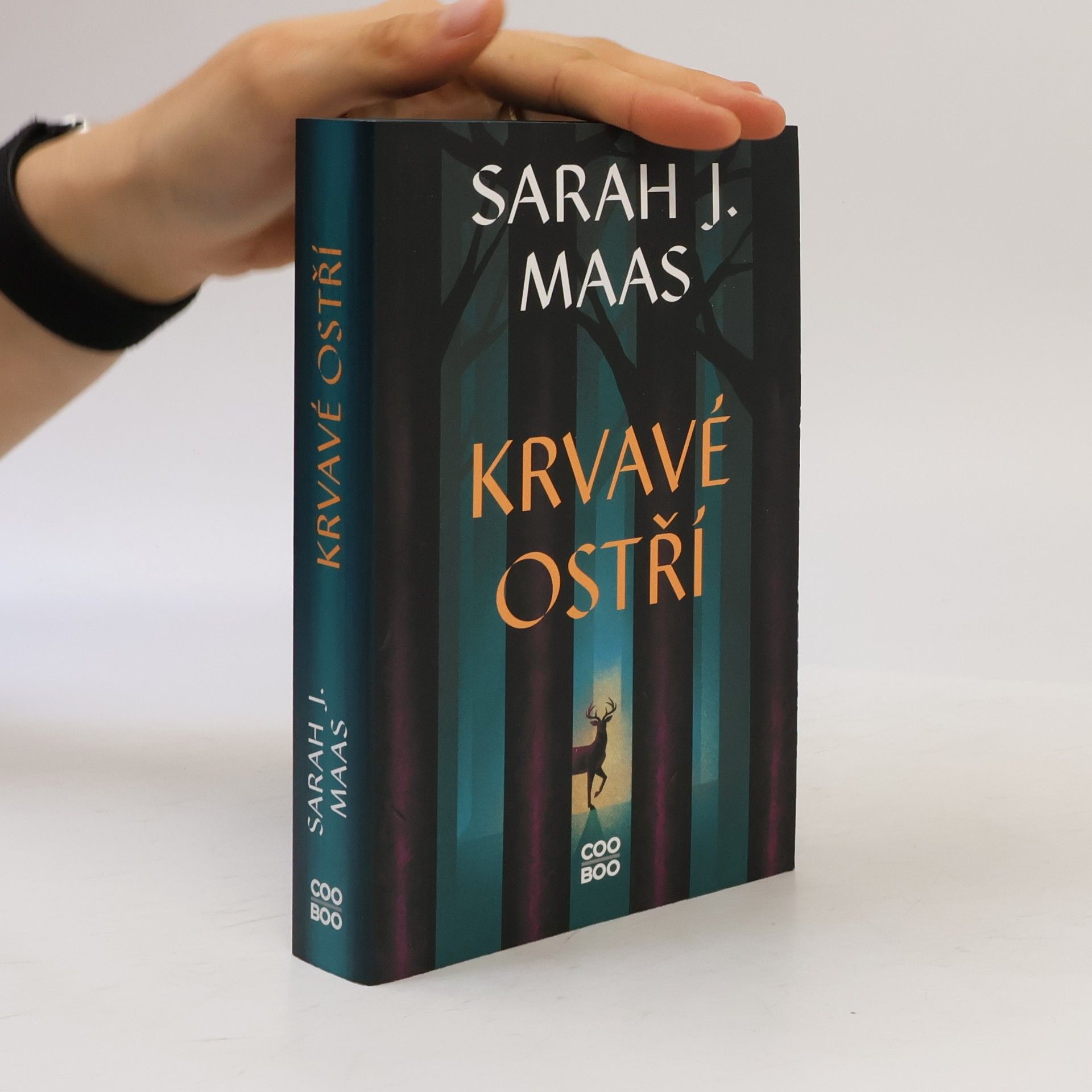 Sarah J. Maas Krvavé ostří