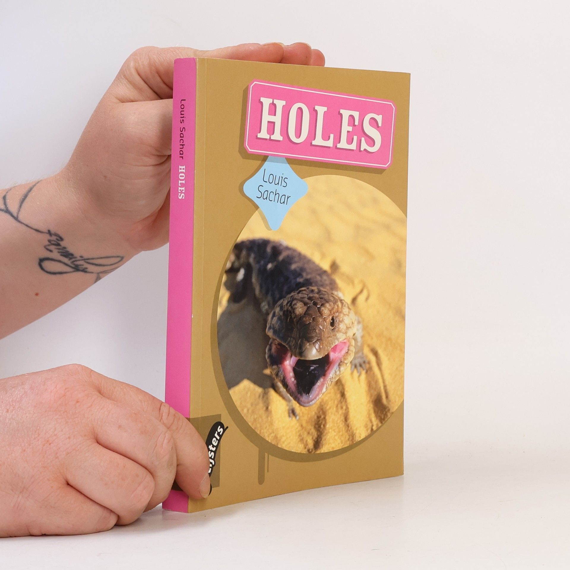 Louis Sachar Holes