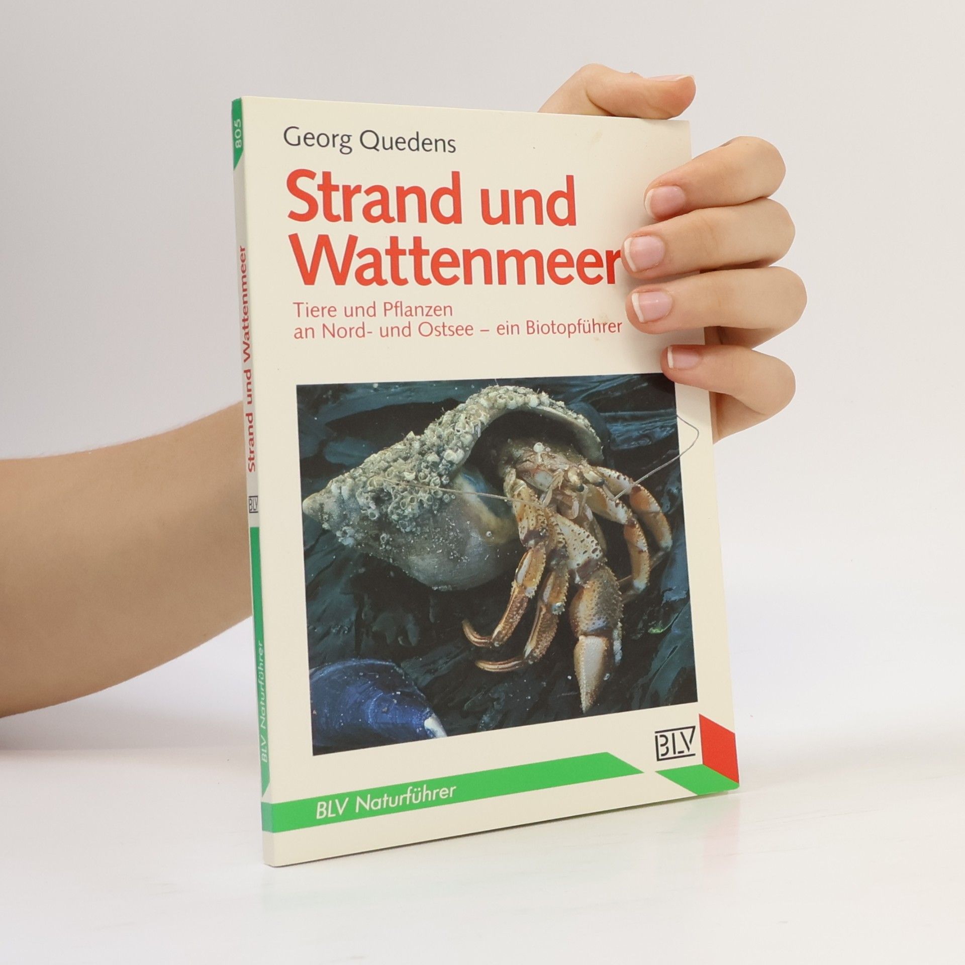 Georg Quedens Strand und Wattenmeer