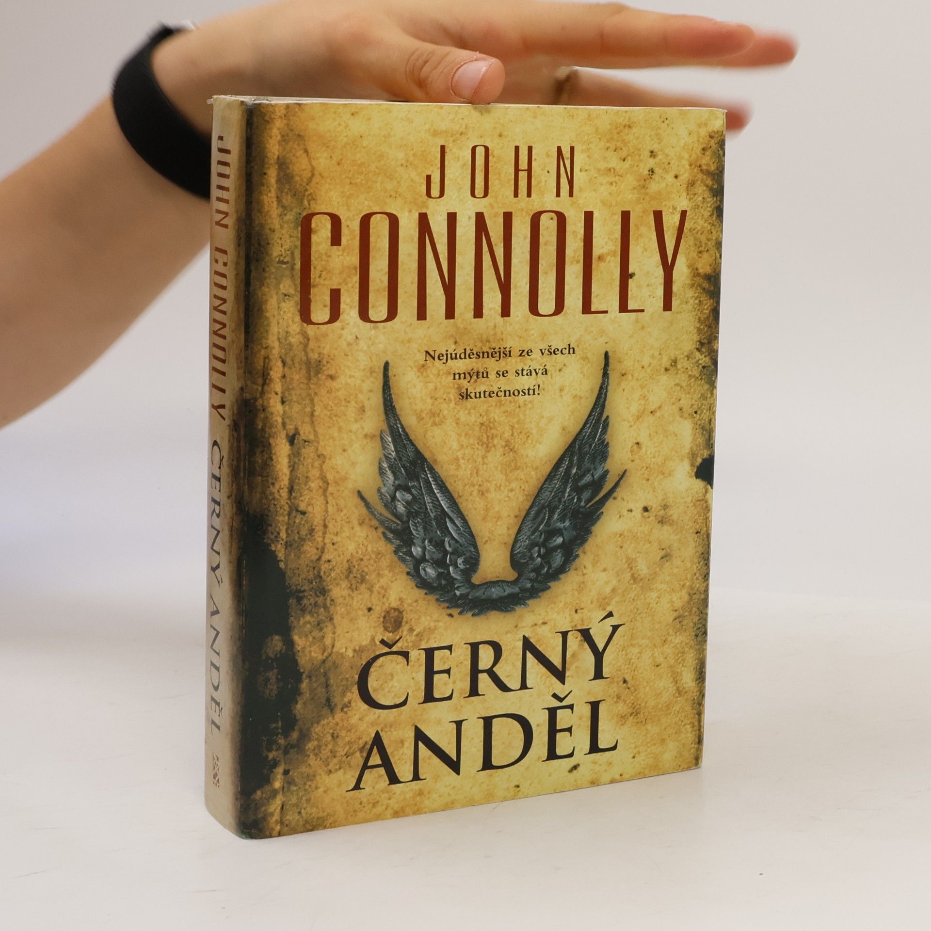 John Connolly Černý anděl