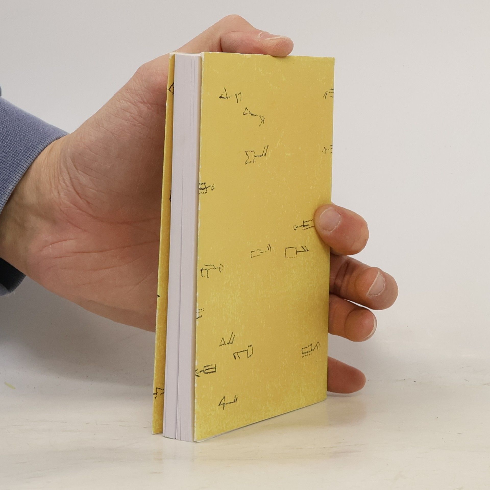Miroslav Petříček Úvod do současné filosofie