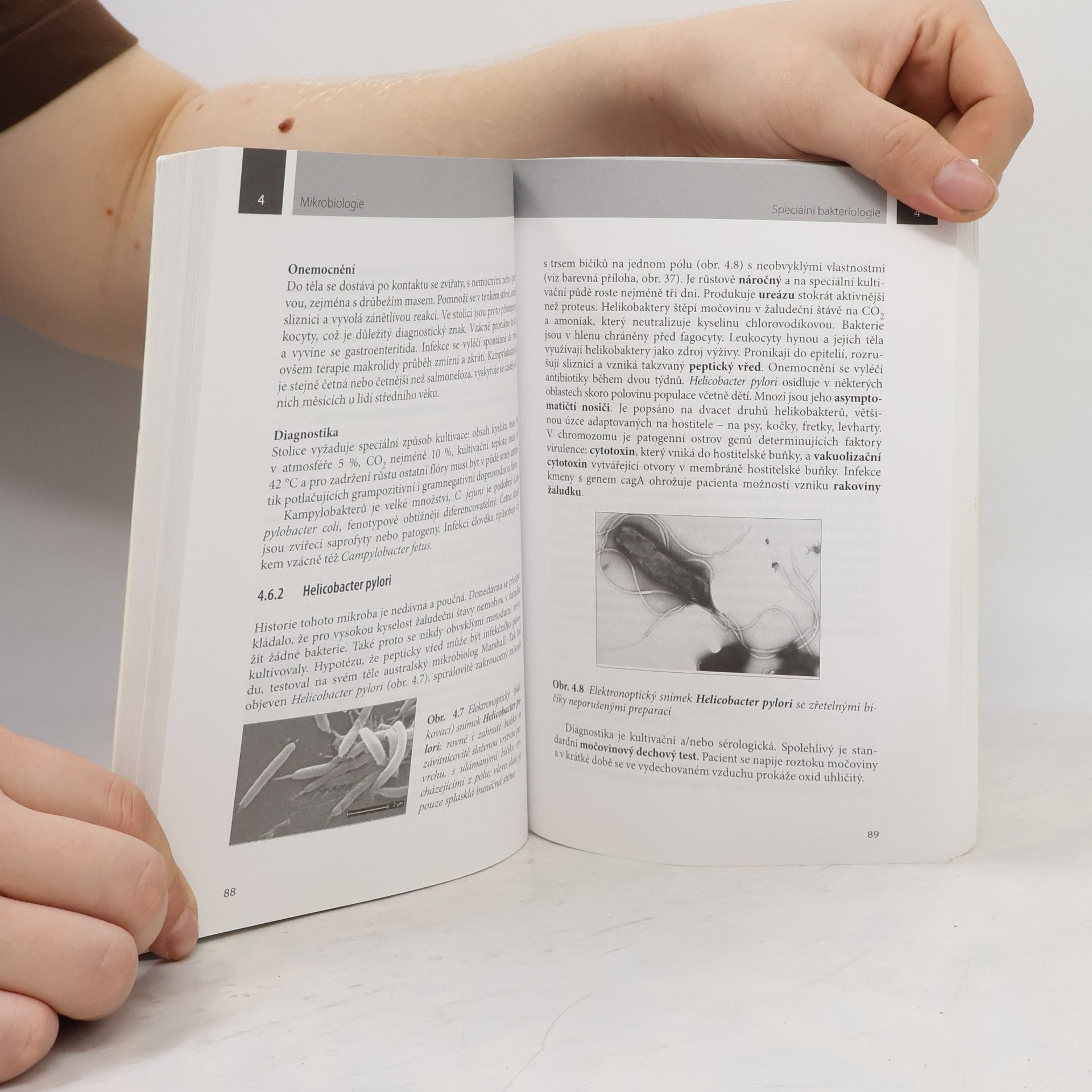 Jiří Schindler Mikrobiologie pro studenty zdravotnických oborů