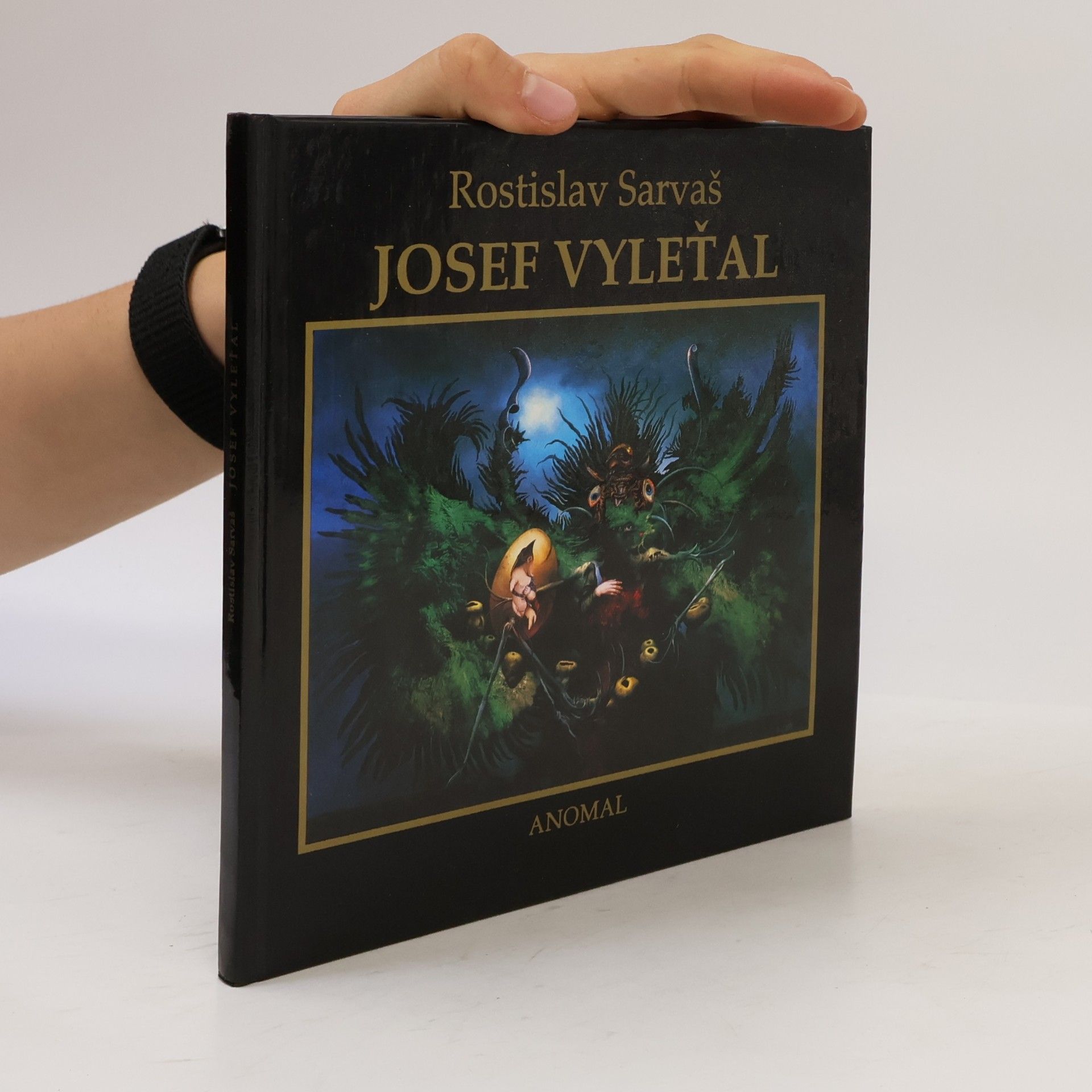 Rostislav Sarvaš Josef Vyleťal