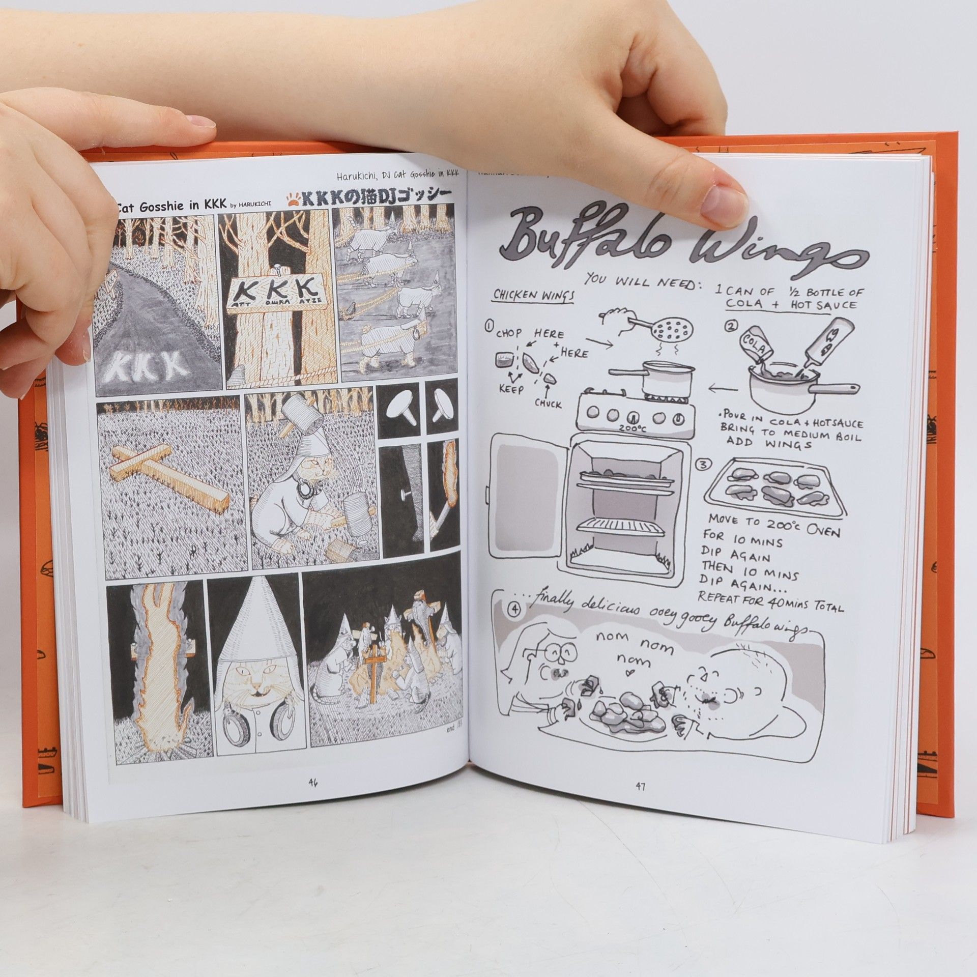 Anna Suska Comics cookbook
