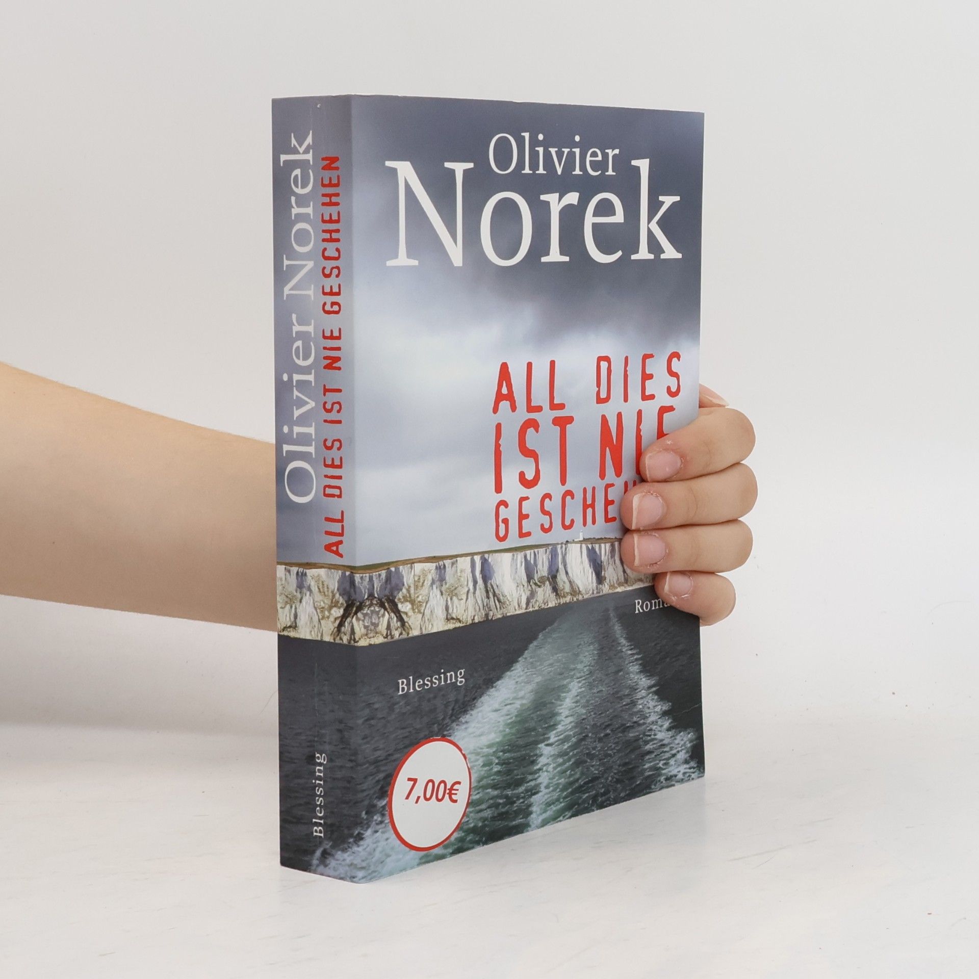 Olivier Norek All dies ist nie geschehen