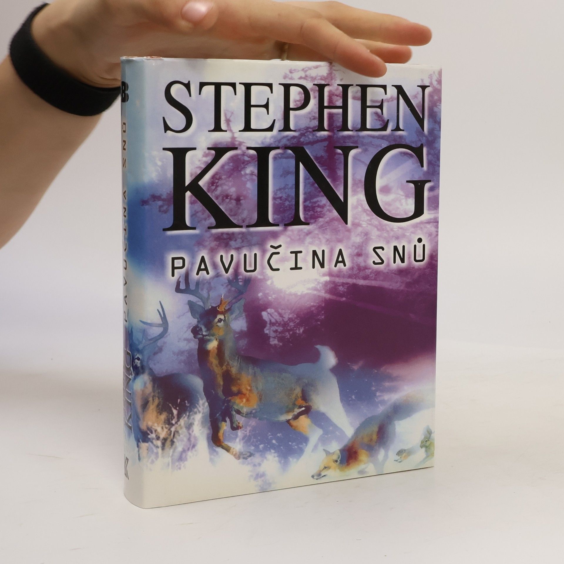 Stephen King Pavučina snů