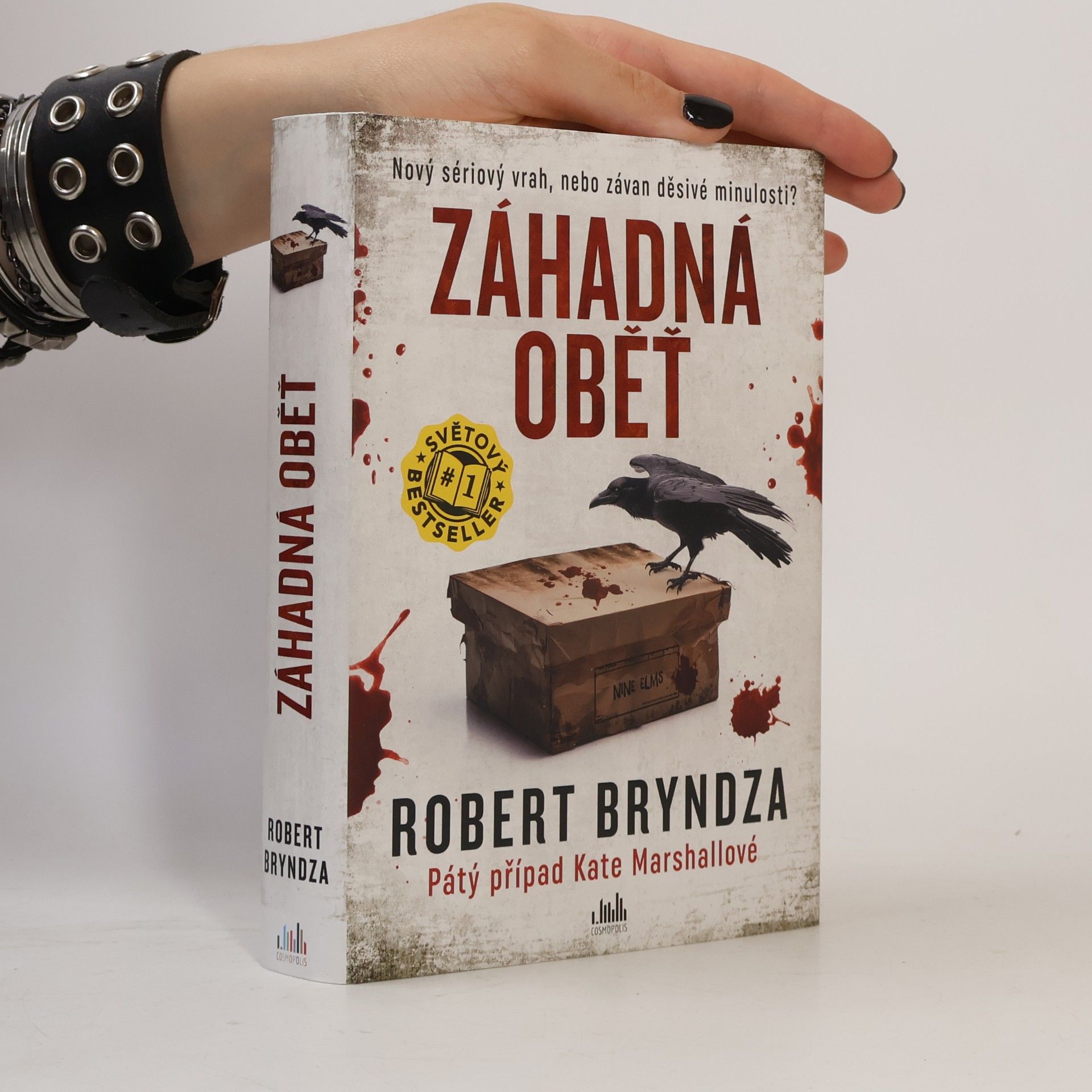 Robert Bryndza Záhadná oběť