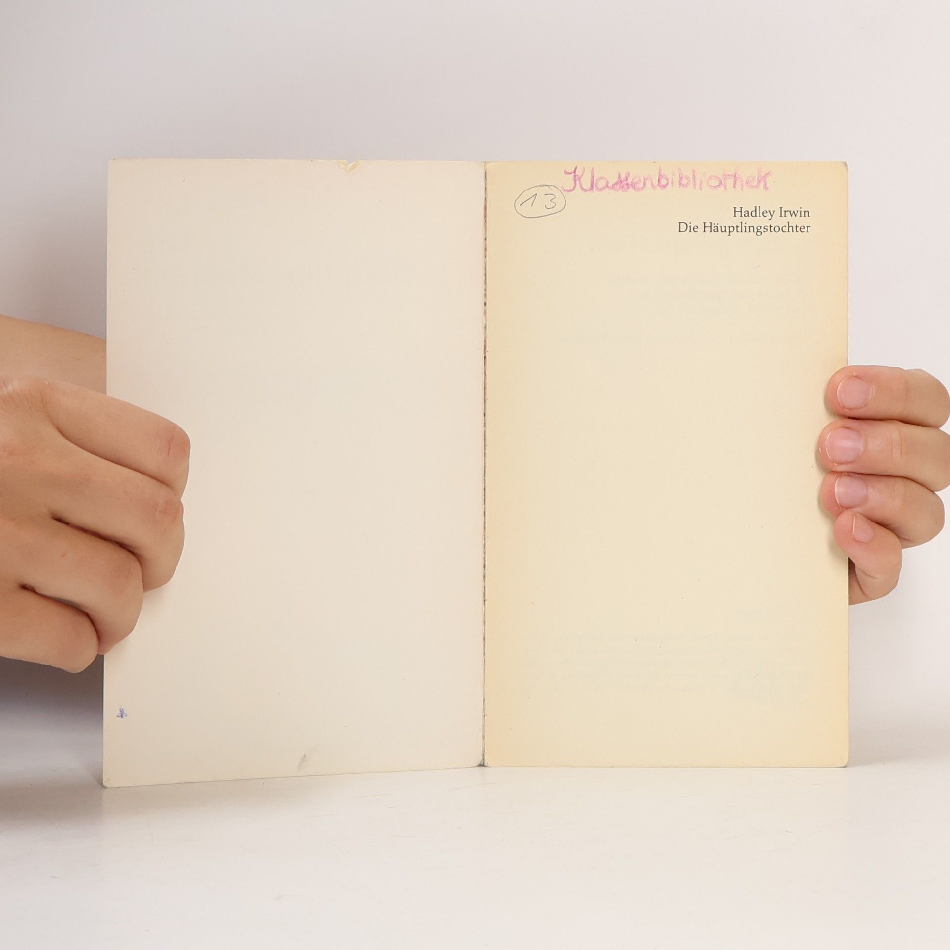 Hadley Irwin Die Häuptlingstochter
