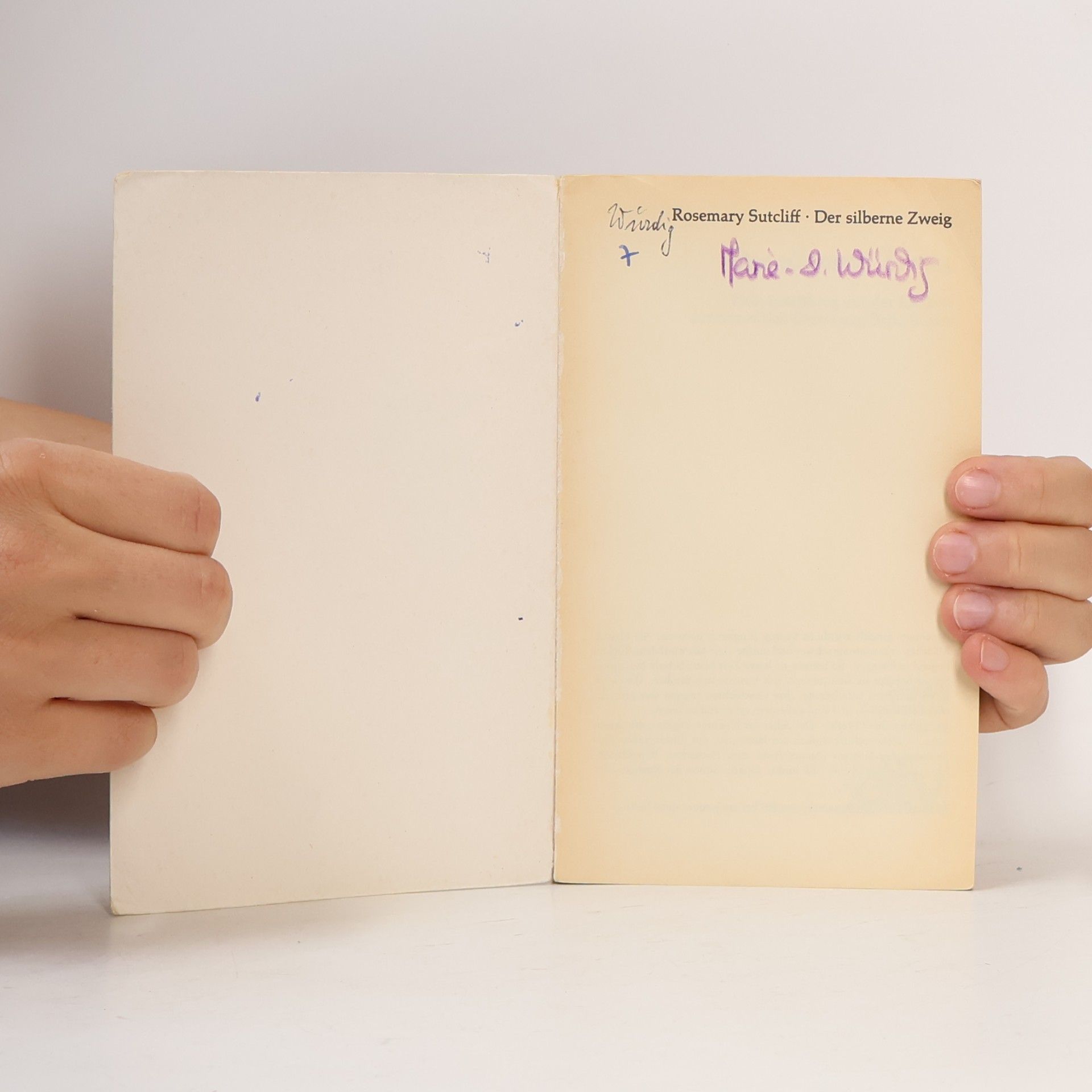 Rosemary Sutcliff Der silberne Zweig