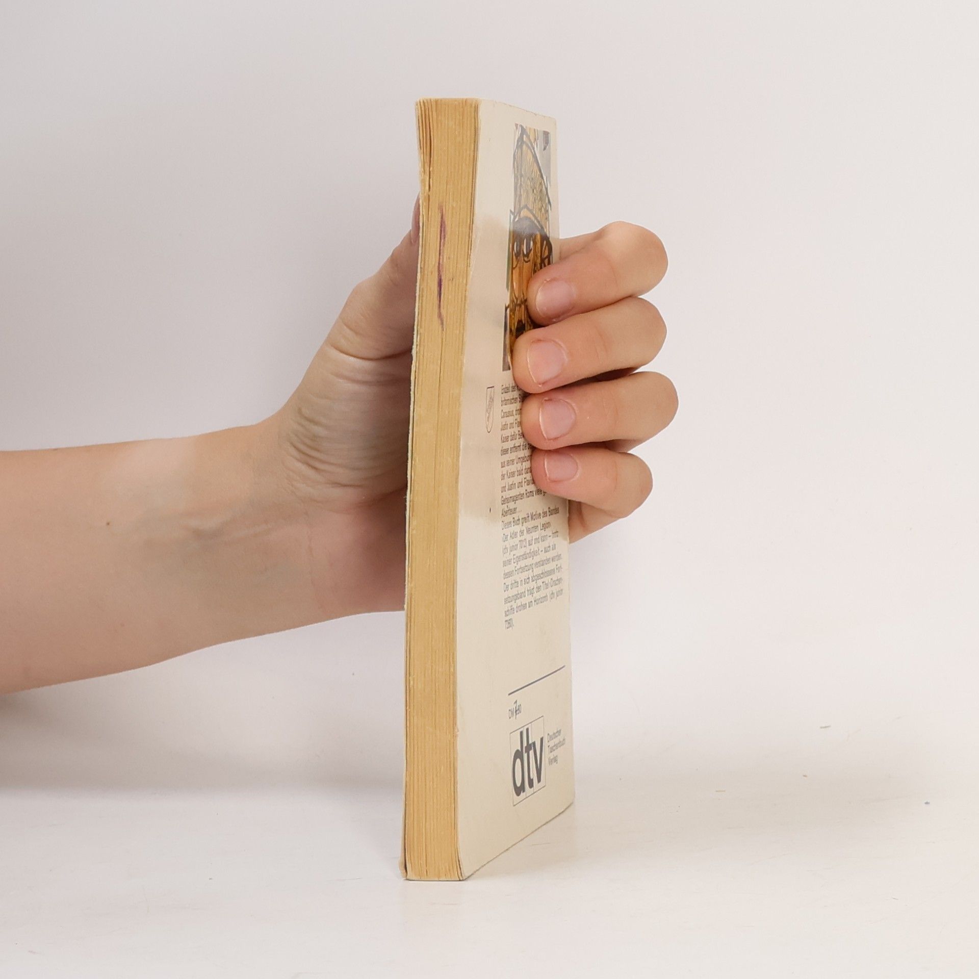 Rosemary Sutcliff Der silberne Zweig