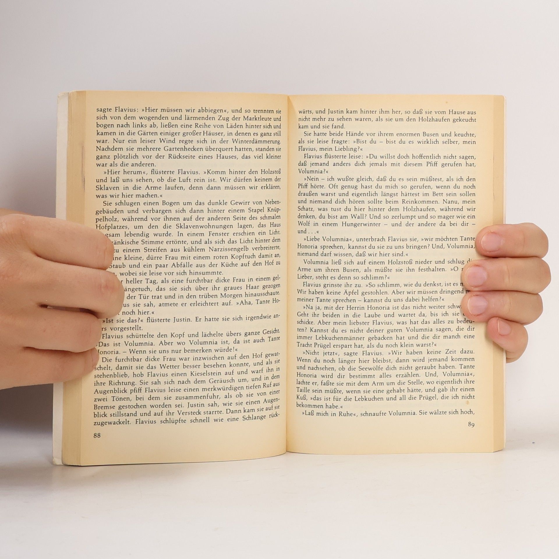Rosemary Sutcliff Der silberne Zweig