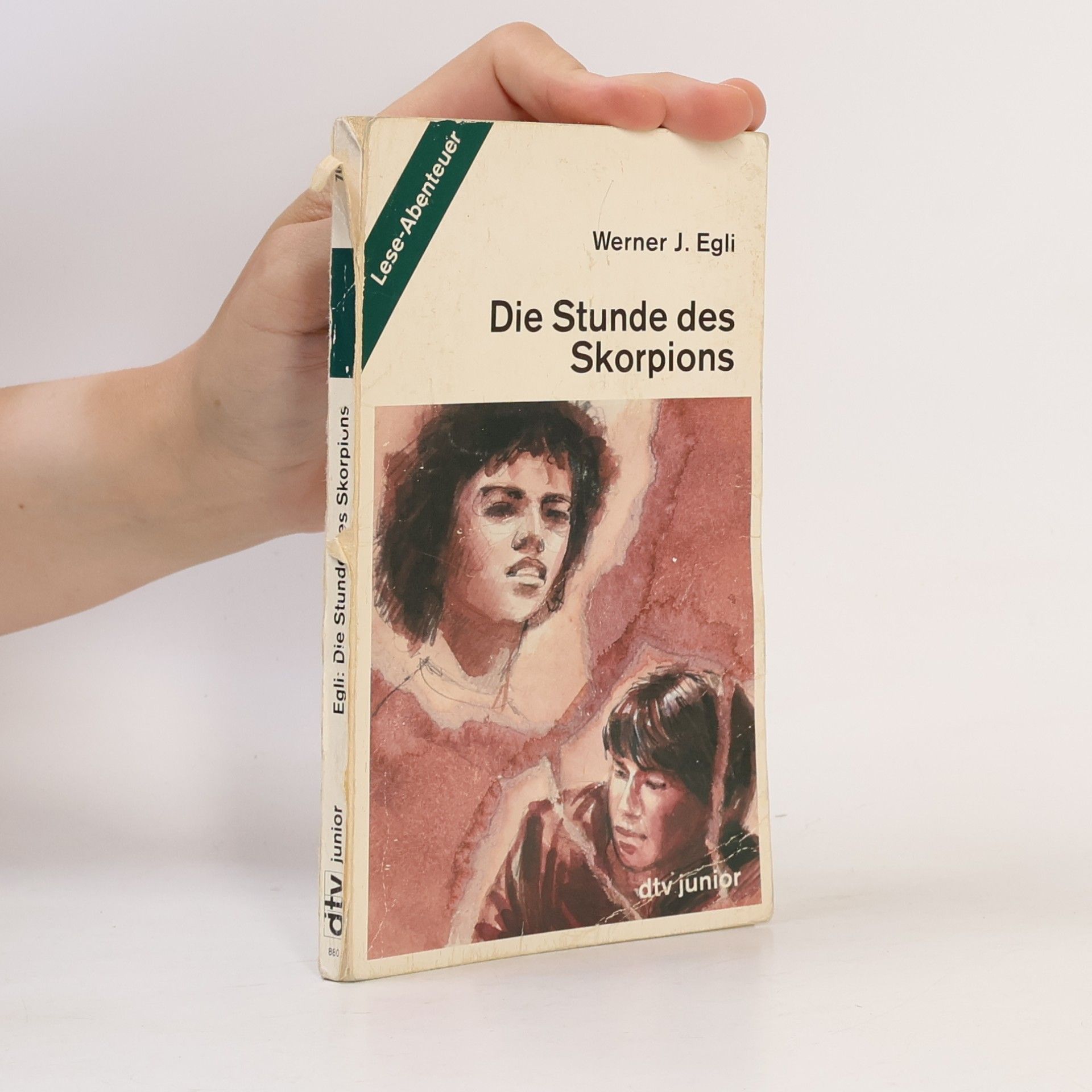 Werner J. Egli Die Stunde des Skorpions