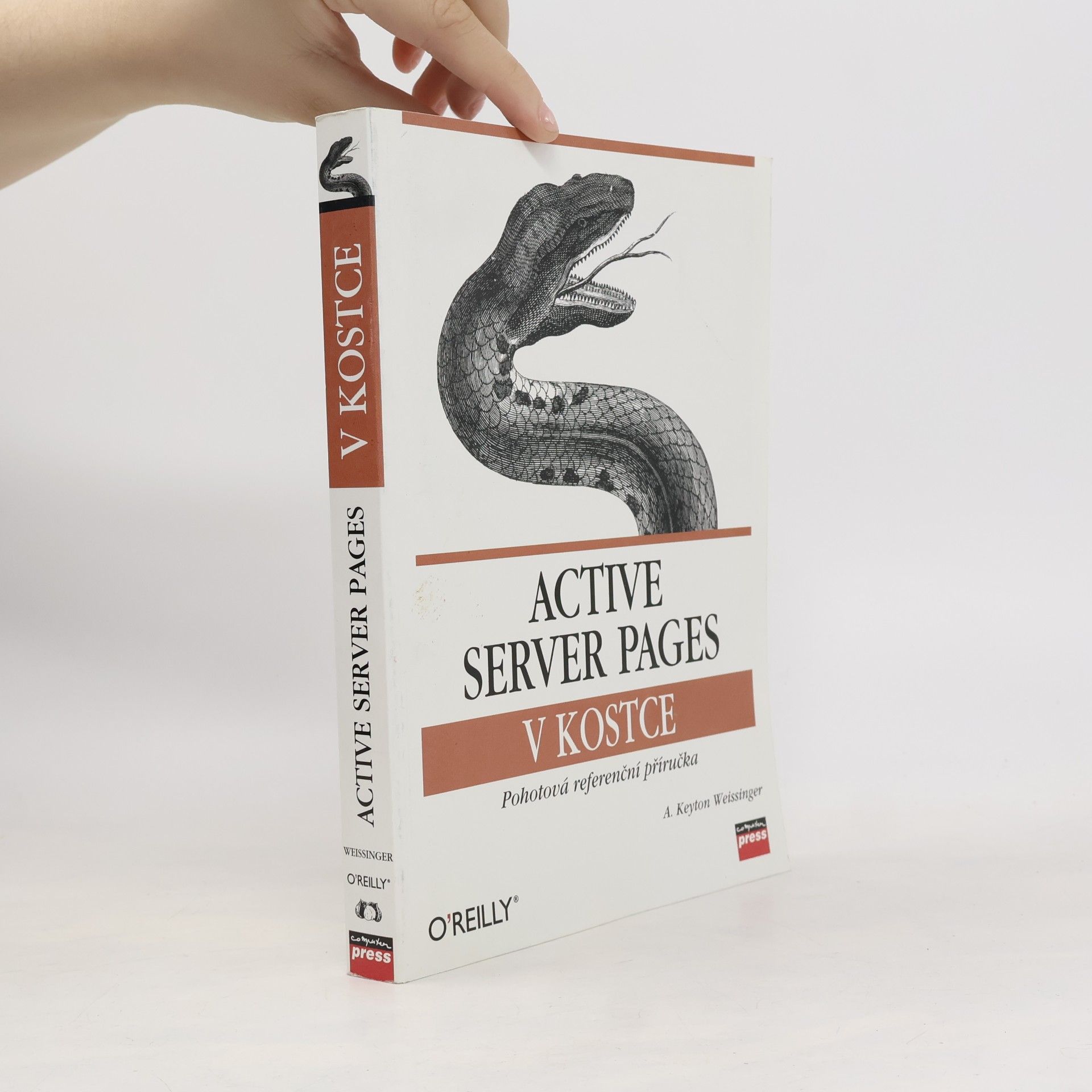 A. Keyton Weissinger Active Server Pages v kostce