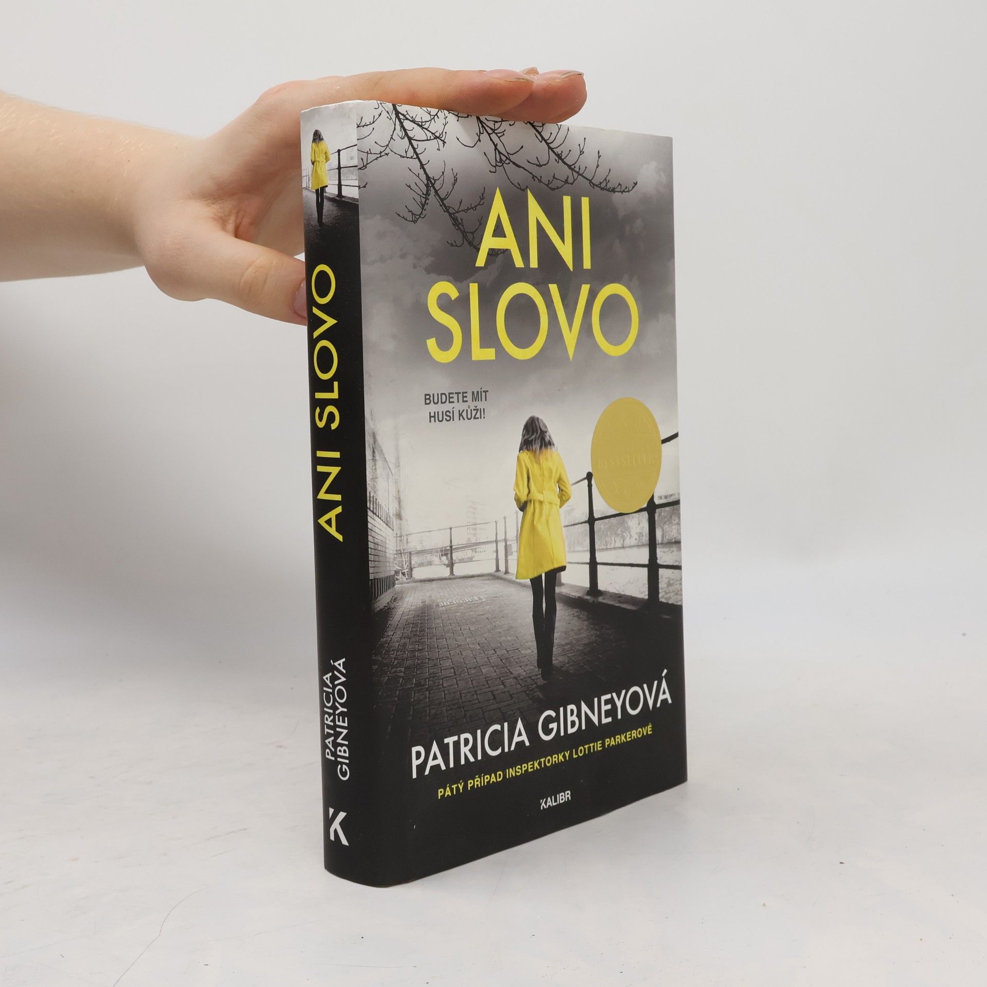 Patricia Gibney Ani slovo