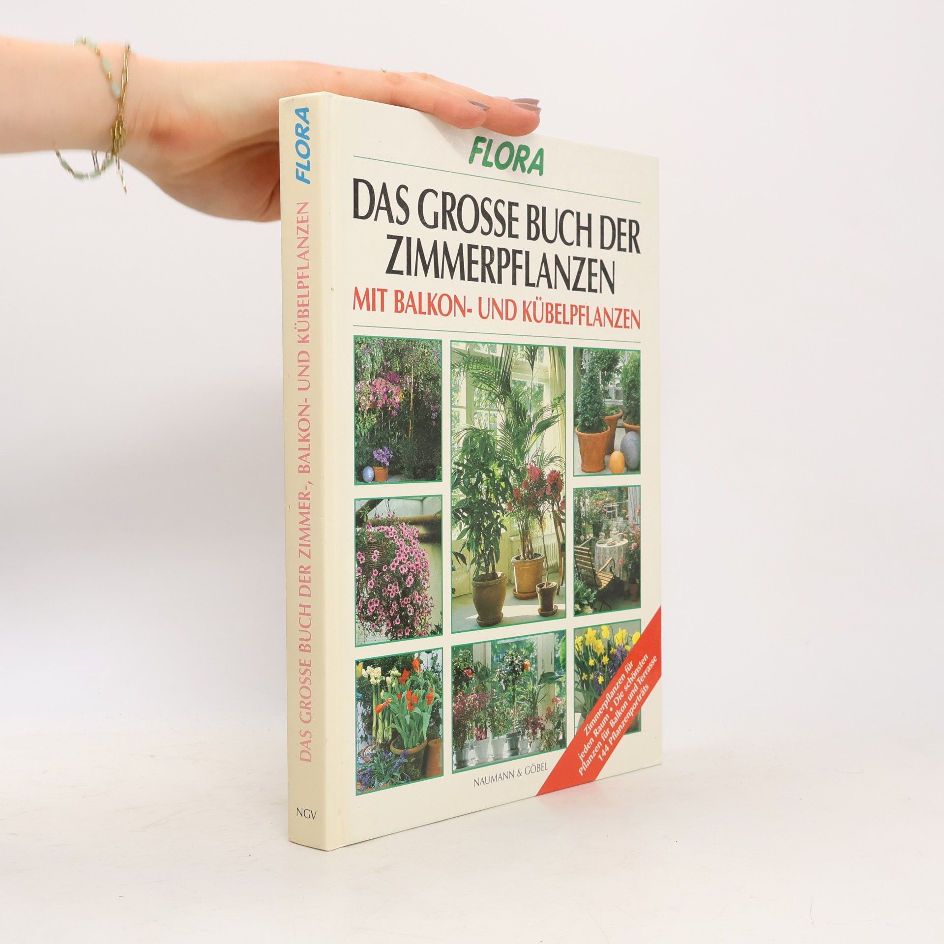 Johannes Haller Das große Buch der Zimmer-, Balkon- und Kübelpflanzen