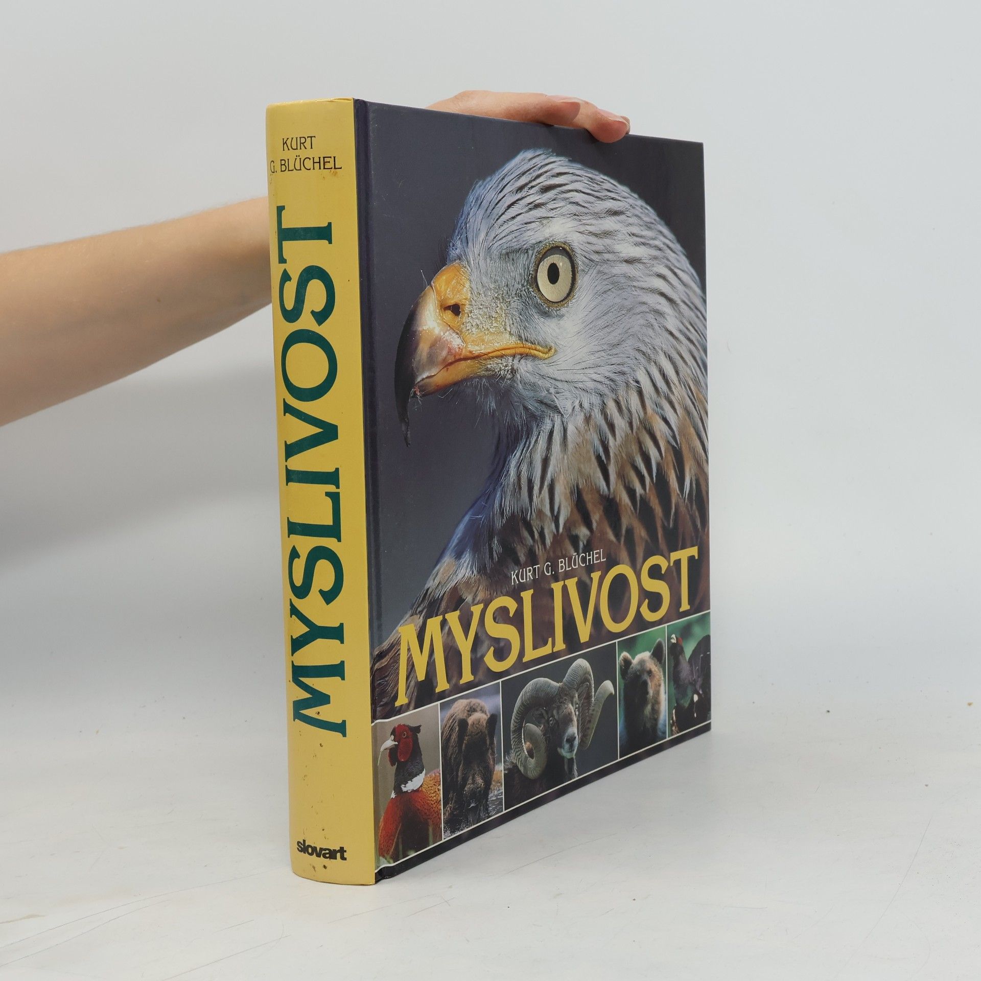 Myslivost. Historie, zbraně, zvěř