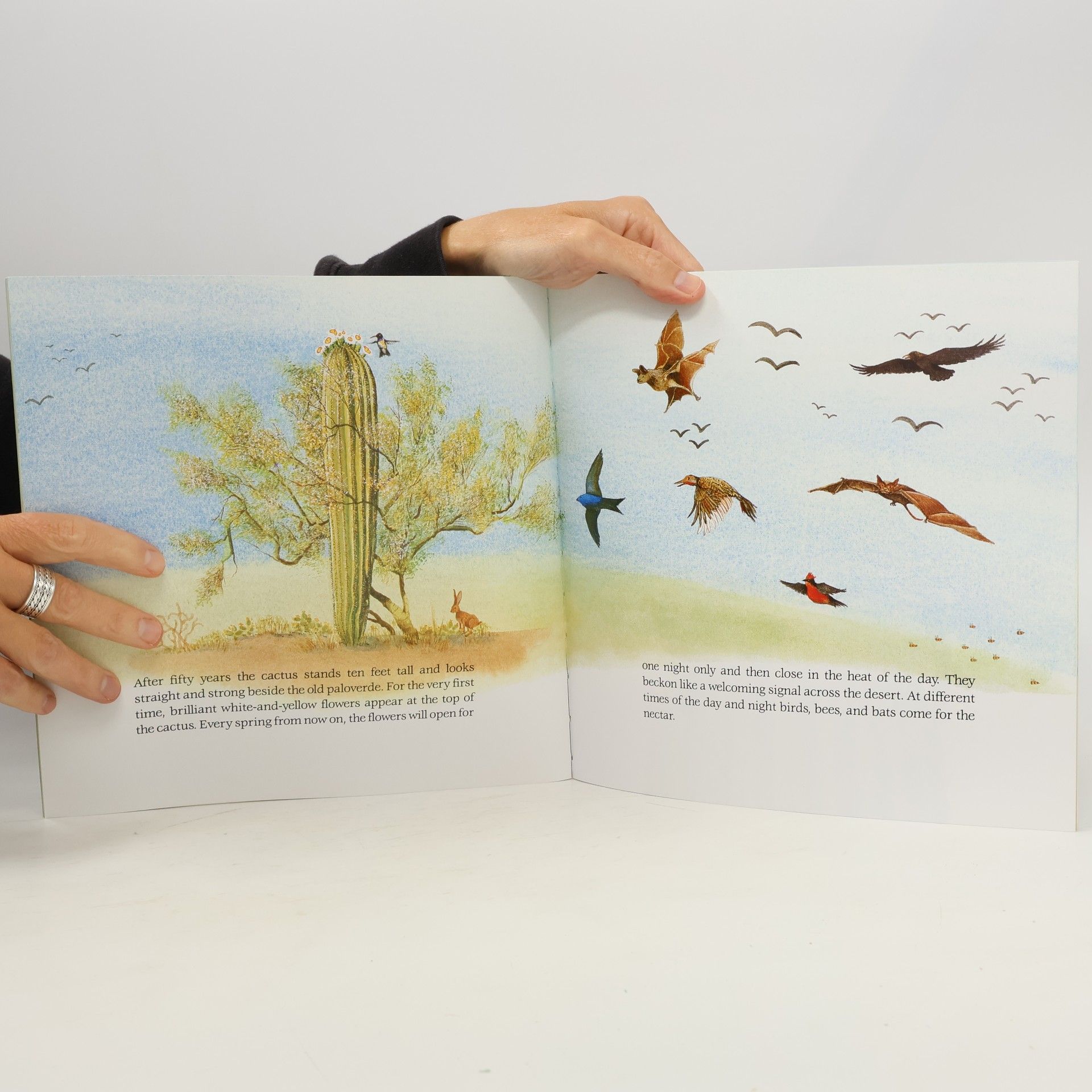 Brenda Z. Guiberson An Owlet Book: Cactus Hotel