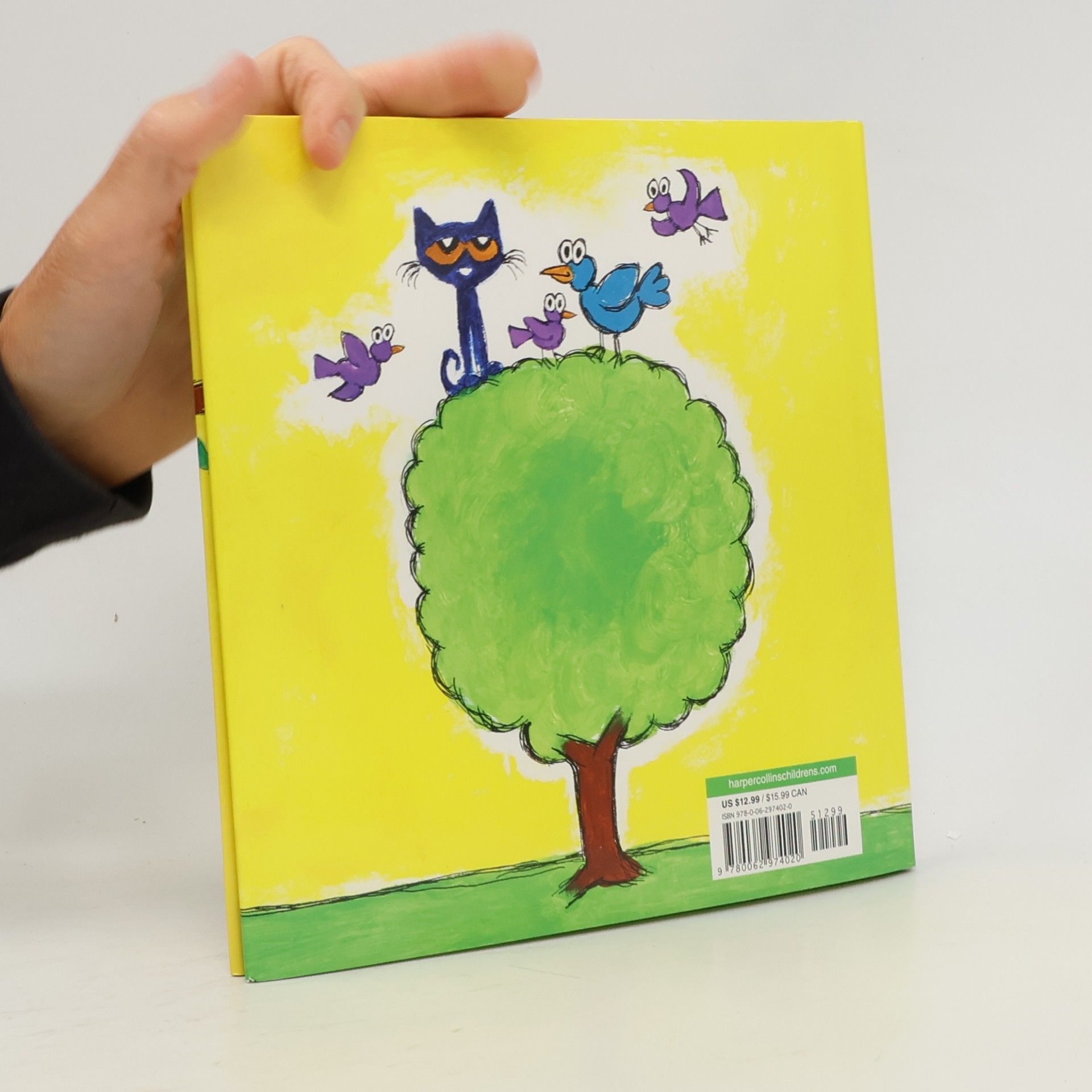 Kimberly Dean Pete the Cat's Groovy Guide to Kindness
