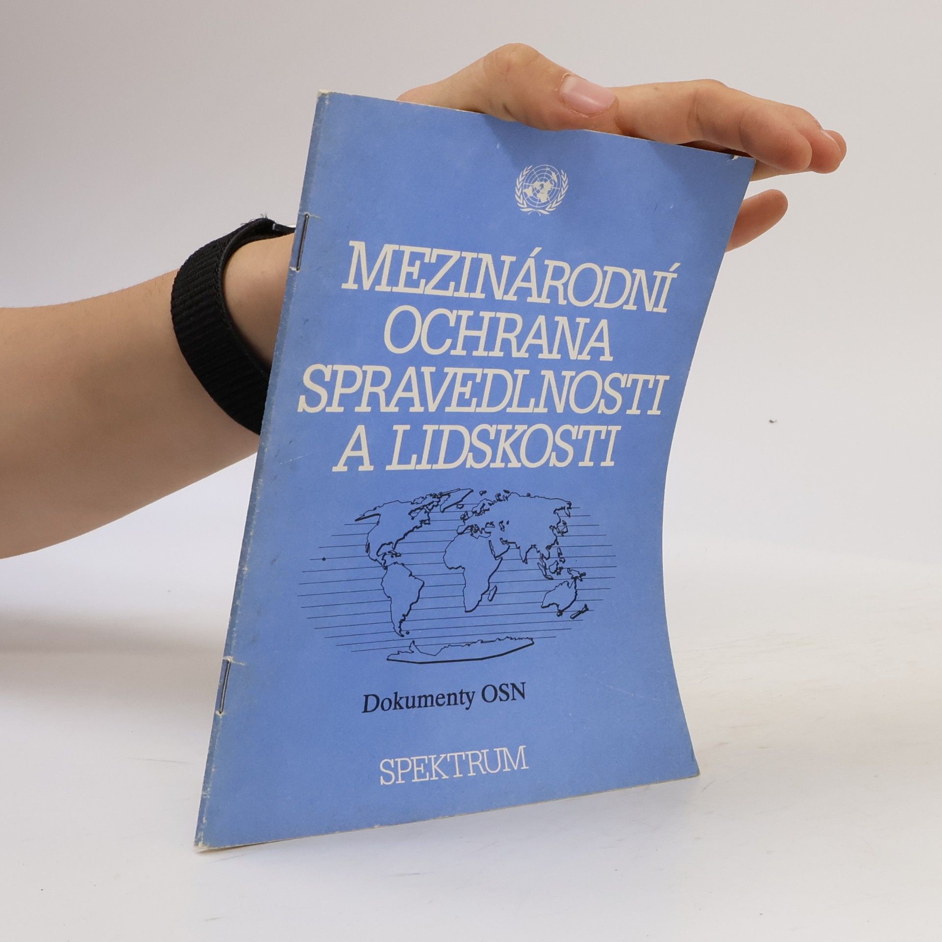 Mezinárodní ochrana spravedlnosti a lidskosti