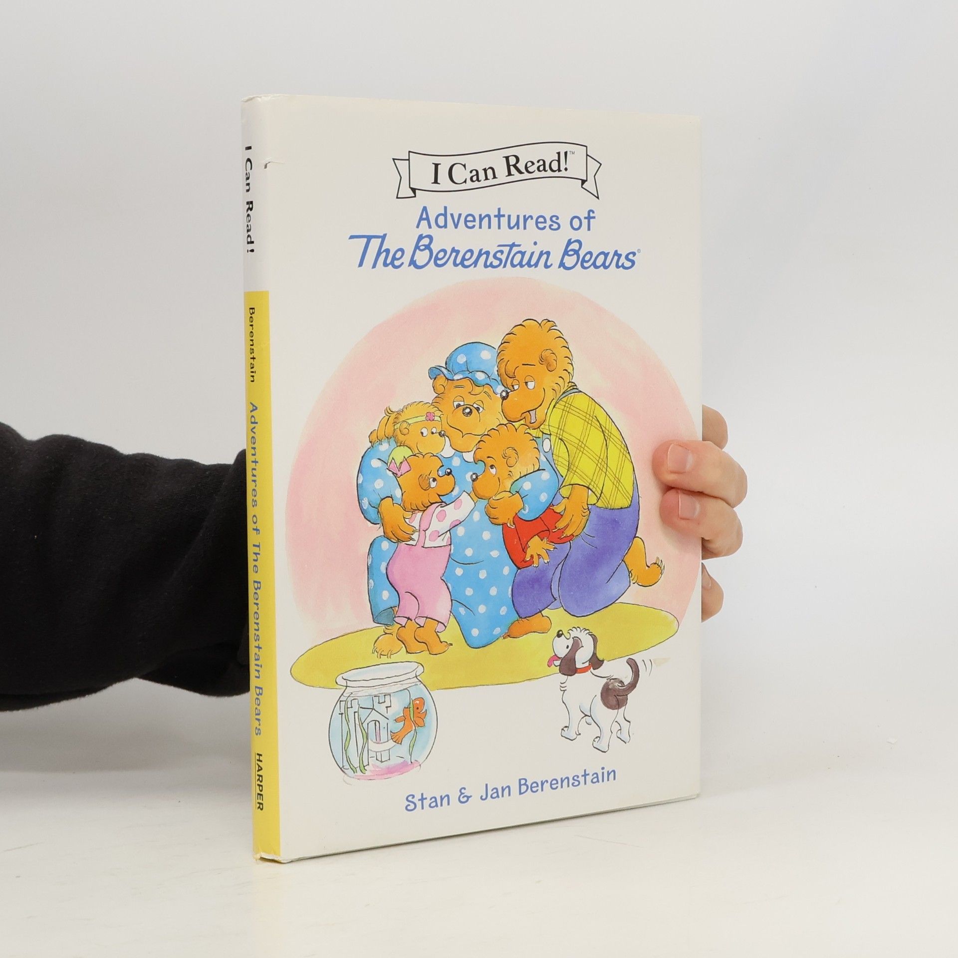 Adventures of The Berenstain Bears